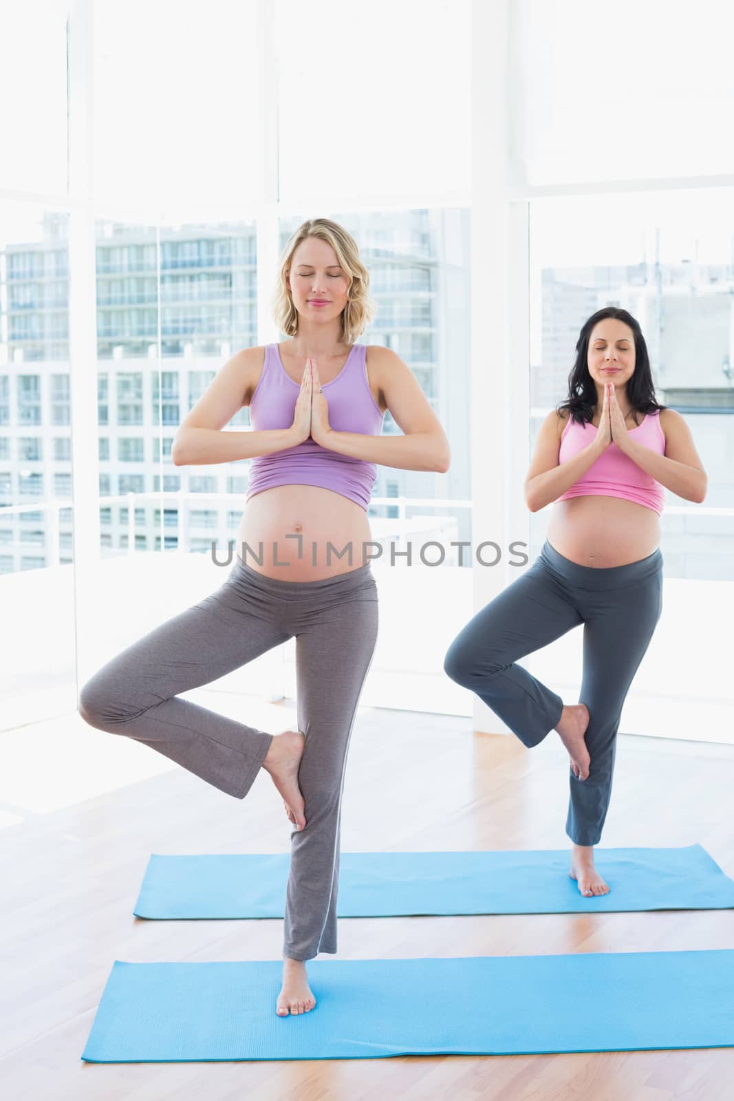 Relaxed pregnant women in yoga class in tree pose by Wavebreakmedia