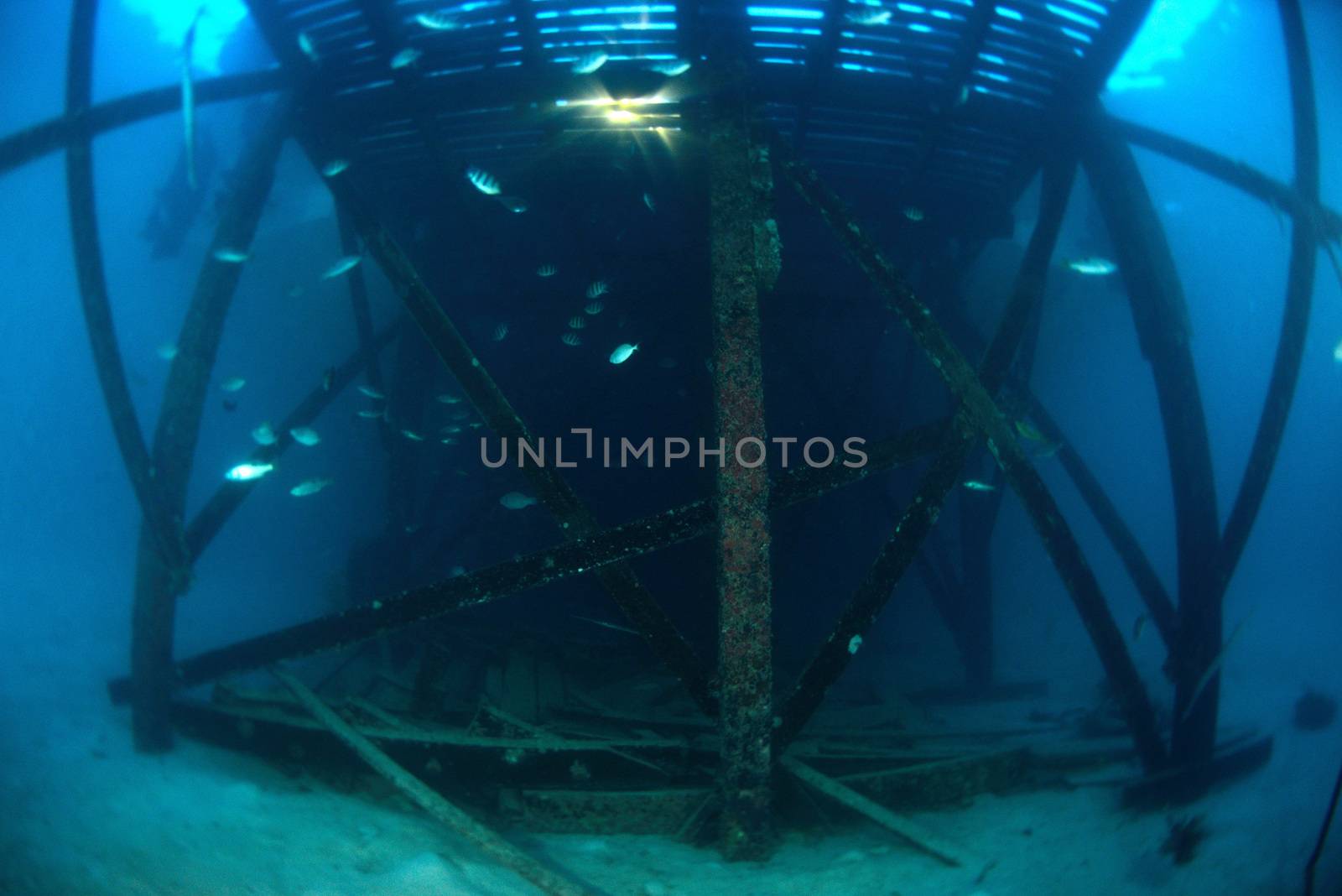 wooden bridge underwater in twilight near dive center in Mabul-S by think4photop