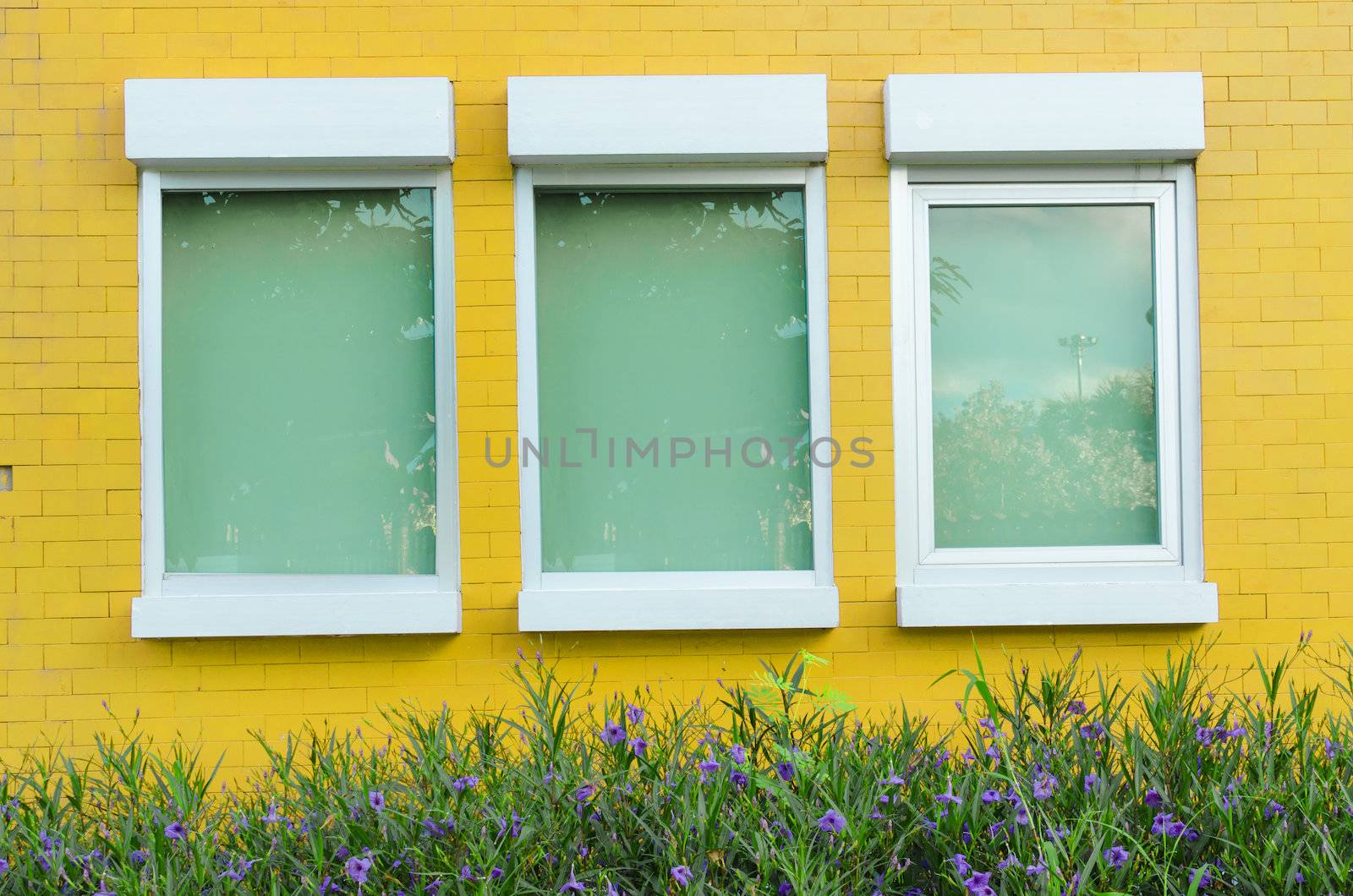 Yellow brick wall with windows little plant and flower by nopparats