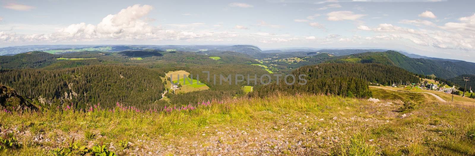 Panorama landscape view over black forest Germany