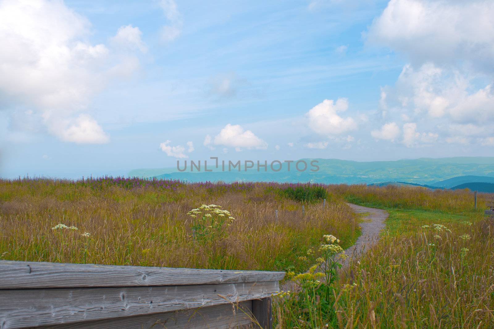 Panorama landscape view over black forest Germany