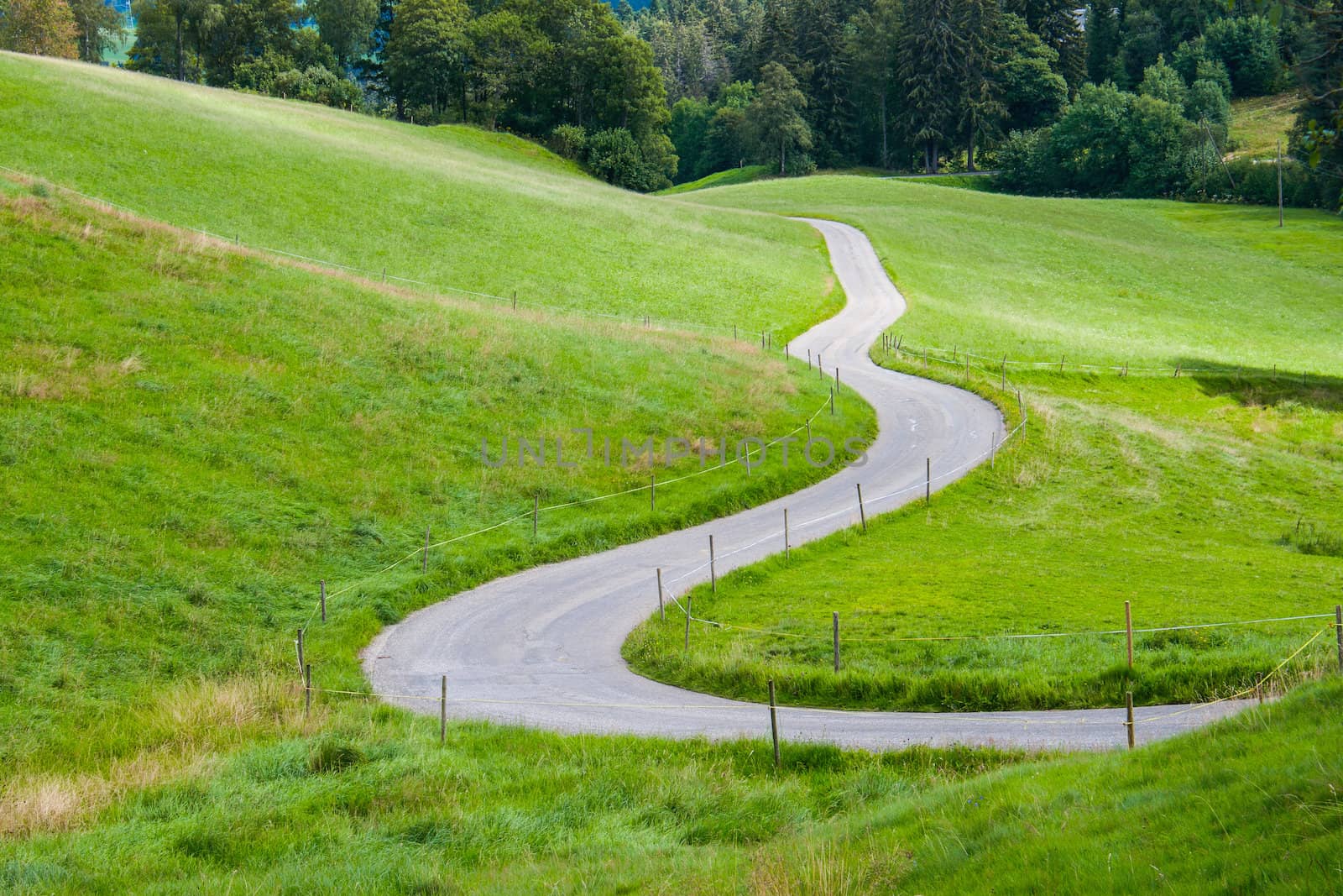 idyllic road between green fields in the mountains by Havana