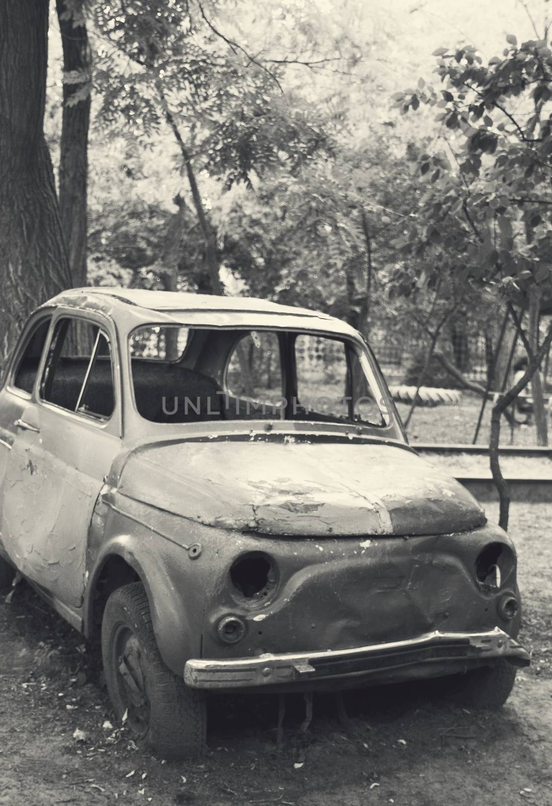 stationary old  wrecked car in garden. Vertical monochrome photo