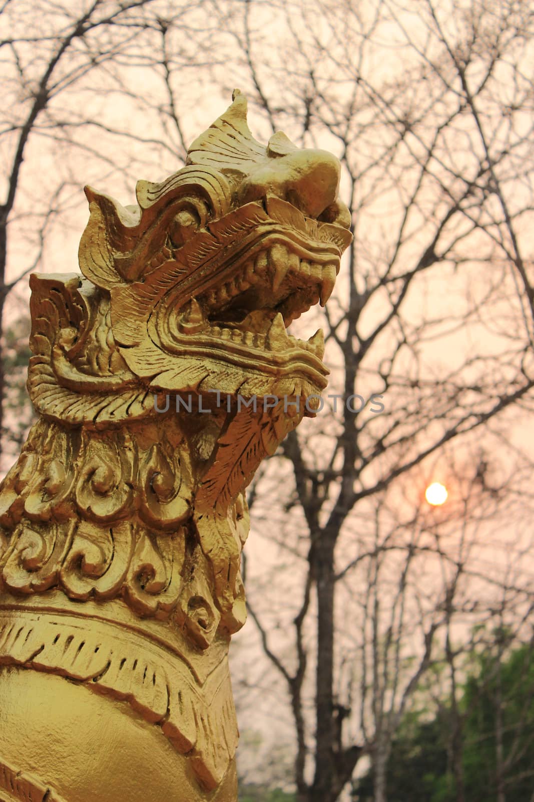 In the temple always have the lion gnarr.It looks beautiful in the sunrise.