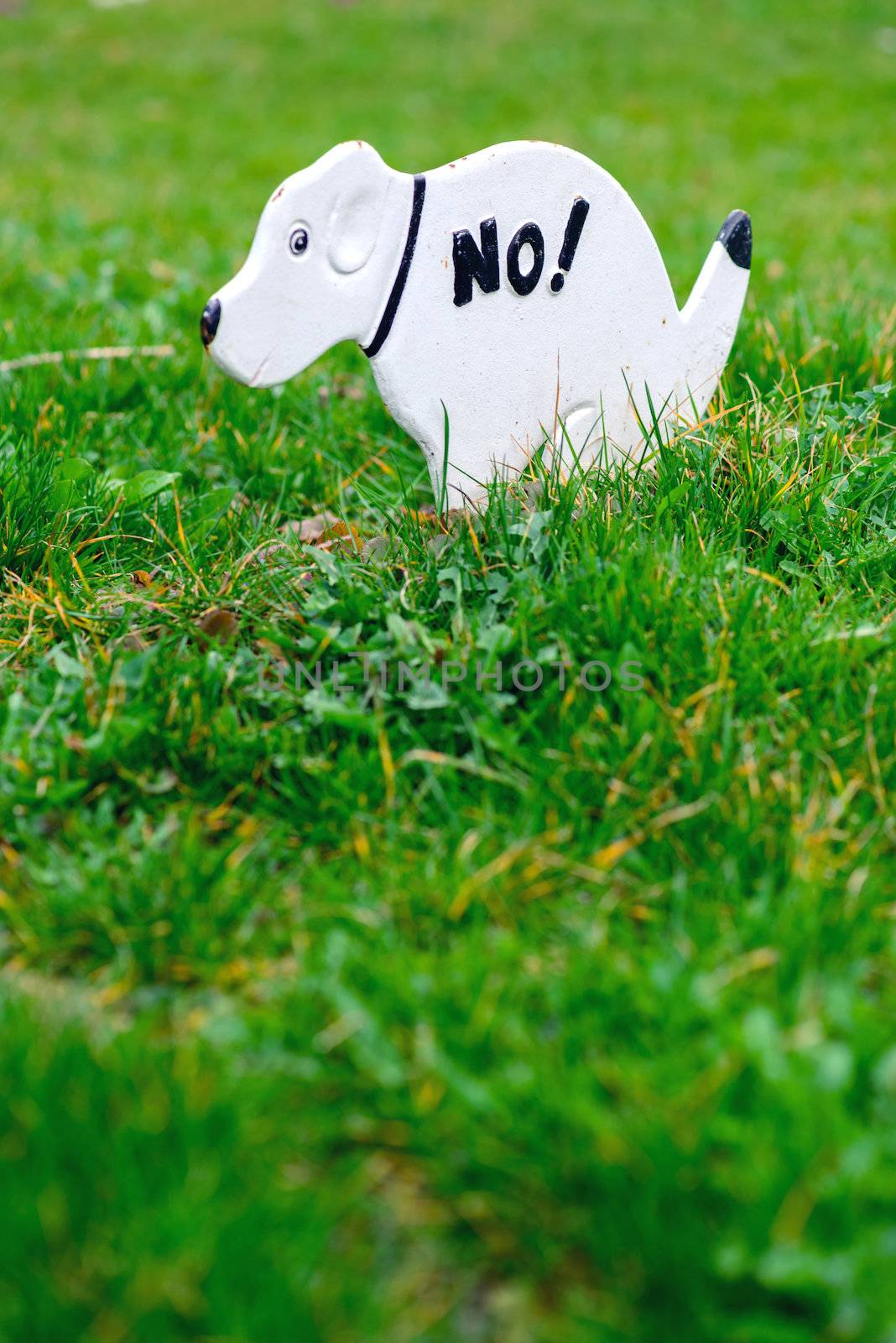 No Pooping On The Grass Sign, Shaped Like A Dog