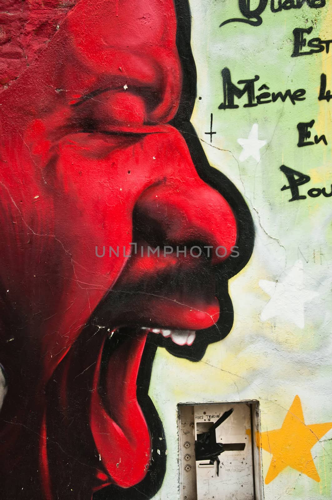 Paris - France - May 2013 - urban art, angry man by NeydtStock