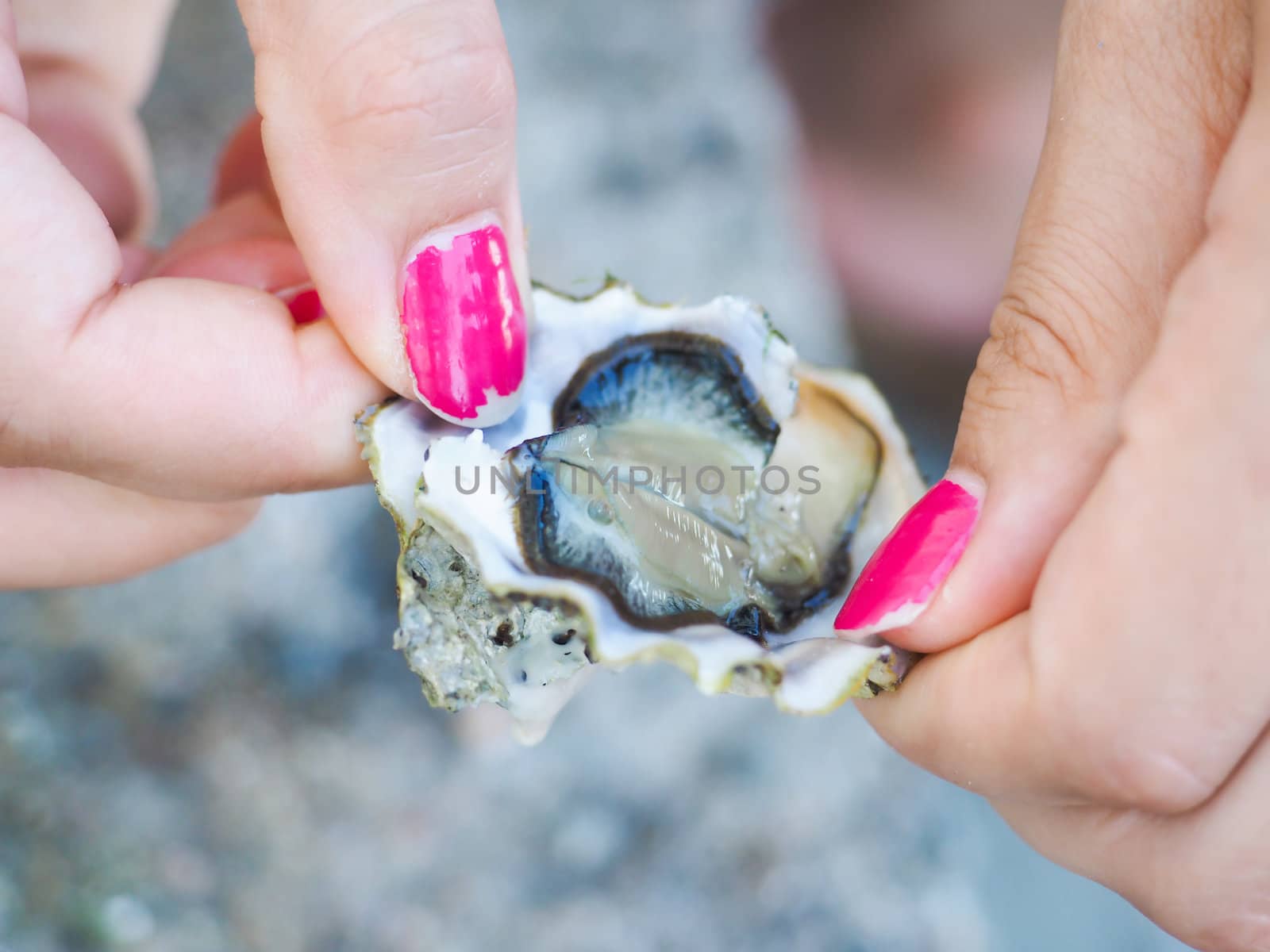 Female person holding an oyster mussel wide open with pink nail  by Arvebettum
