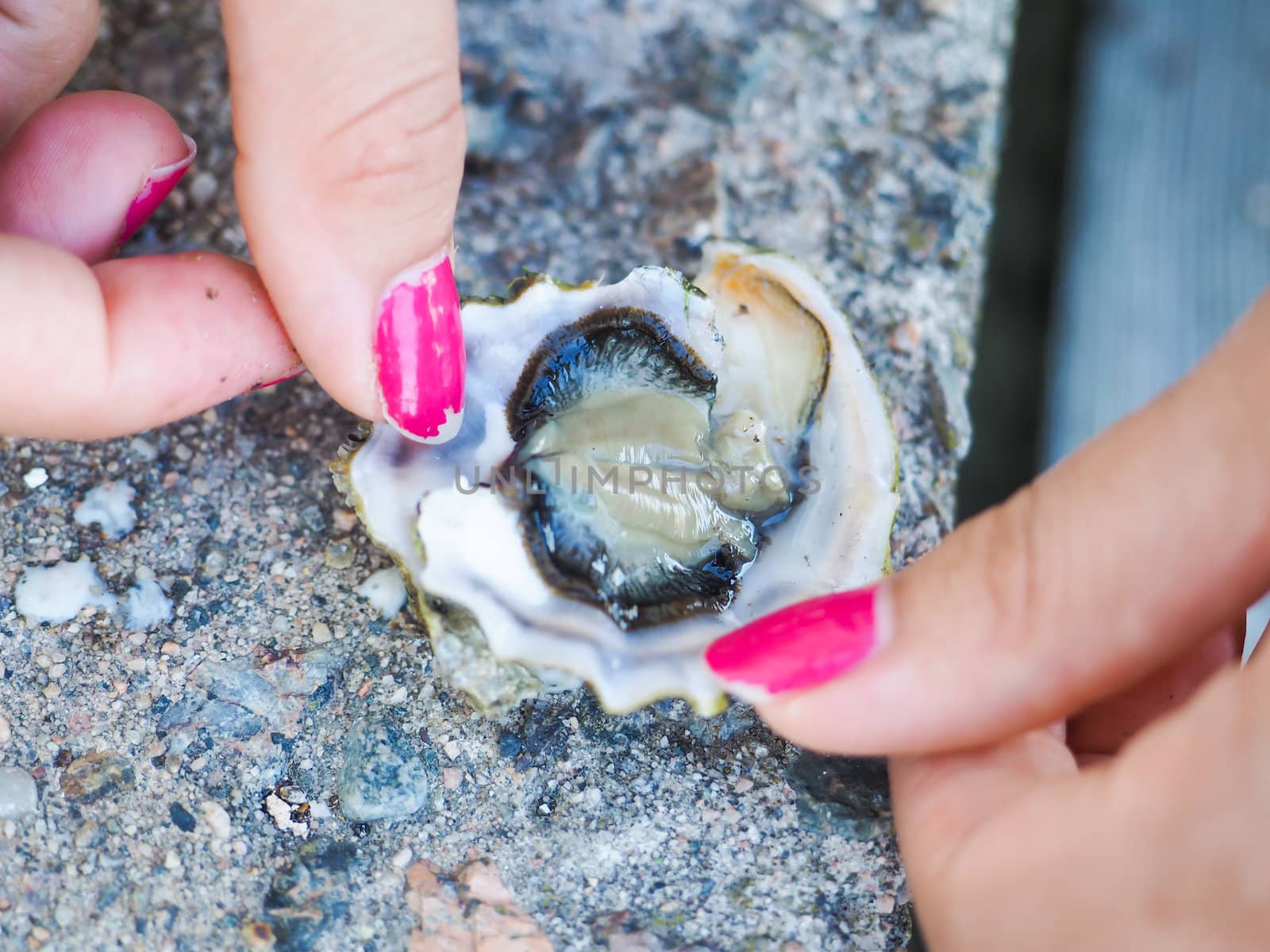 Female person holding an oyster mussel wide open with pink nail paint on concrete floor