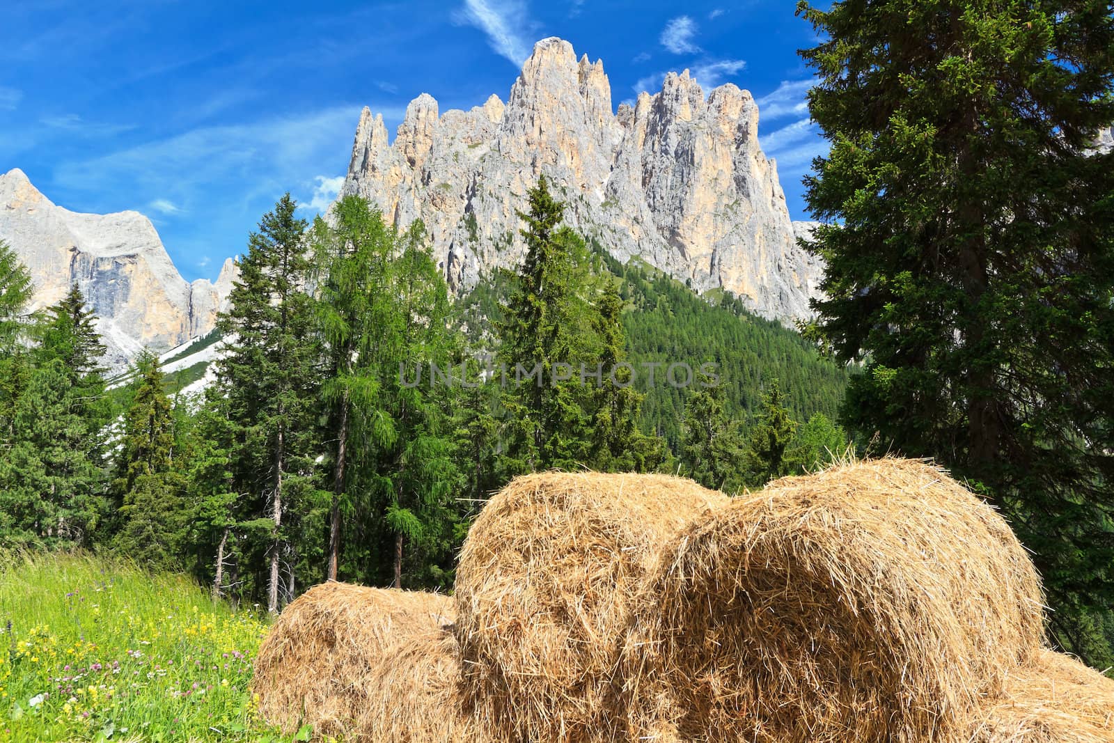 alpine pasture with bales of hay beneath Catinaccio mont, Trentino, Italy