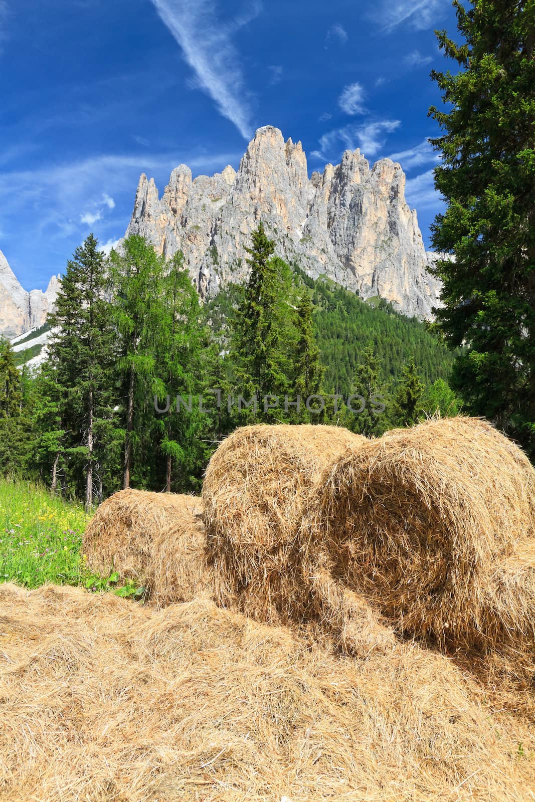 alpine pasture with bales of hay beneath Catinaccio mont, Trentino, Italy