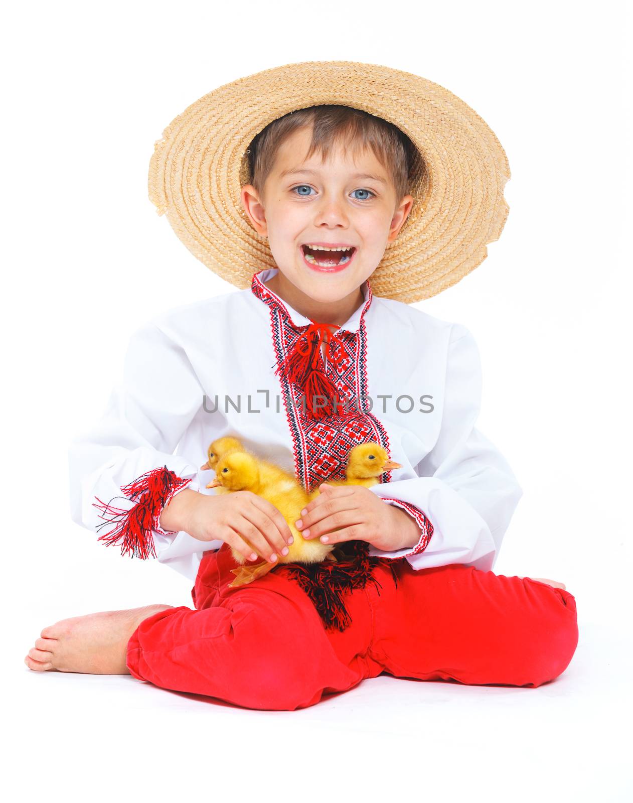 Happy little boy with cute ducklings isolated on white background