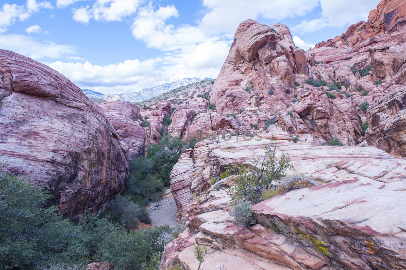  The Red Rock canyon near las vegas , Nevada.