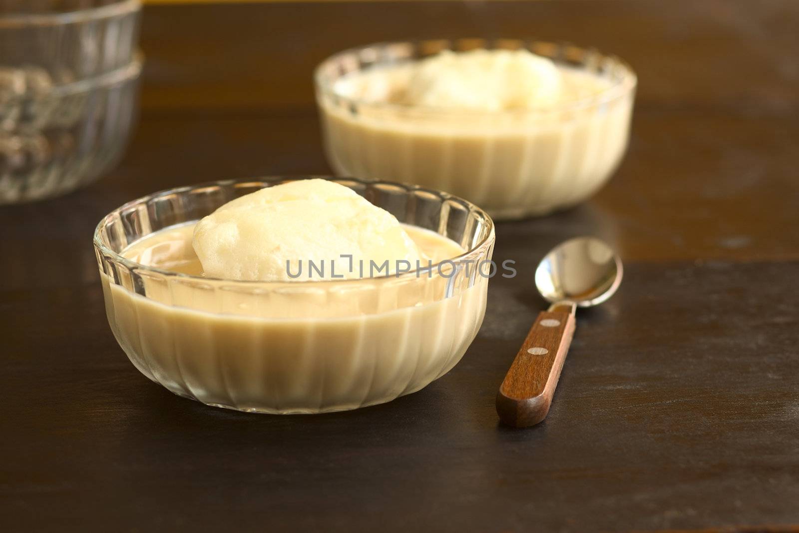 Floating Island, a European dessert of French origin called Oeufs a la neige in French, in Hungarian Madartej (Bird's Milk). The vanilla custard is made of egg yolk, milk, sugar and vanilla, the white meringue on top is made of cooked whipped egg white. (Selective Focus, Focus on the front of the egg white foam)