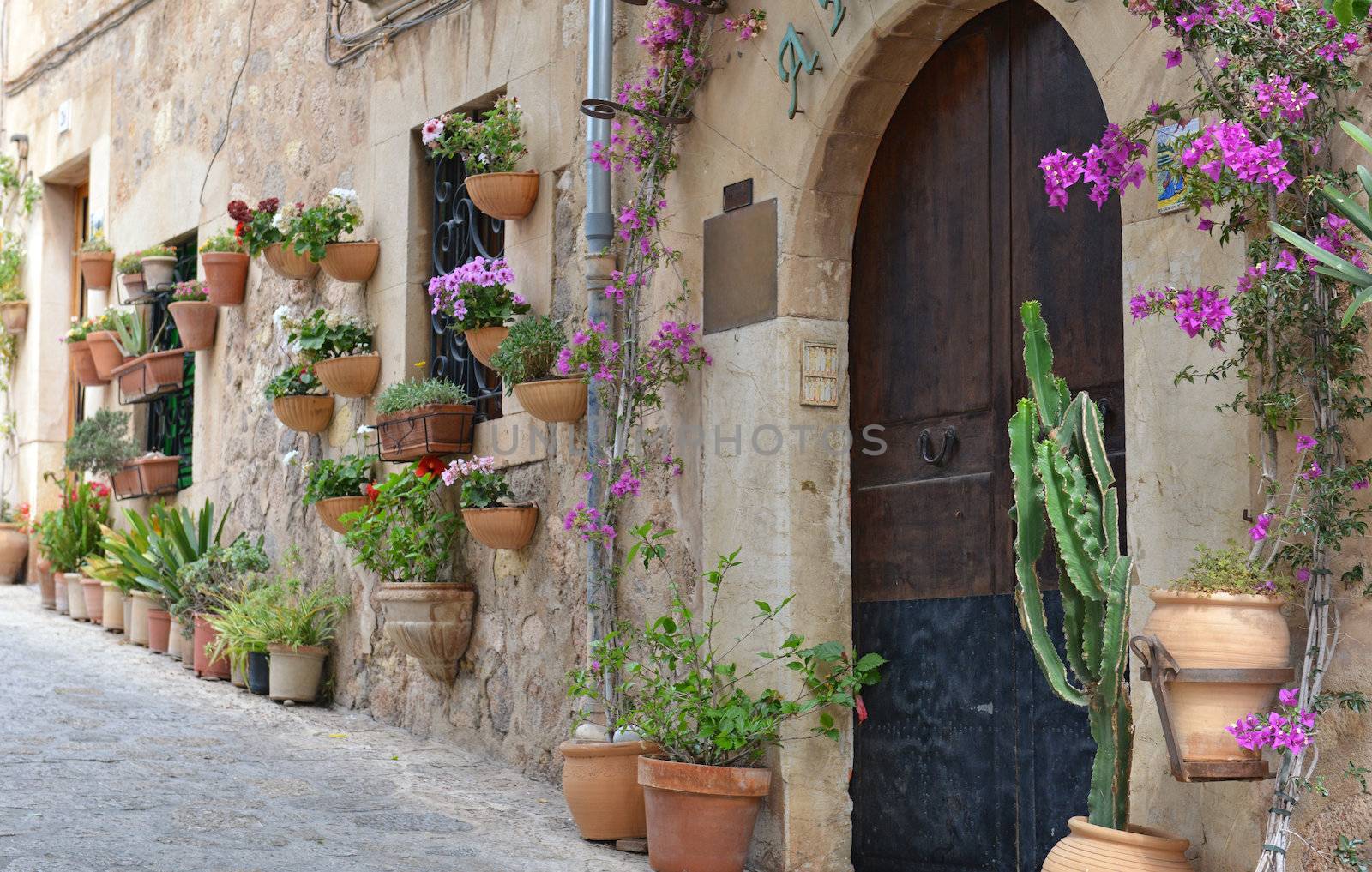 Typical Mediterranean Village with Flower Pots in Facades in Val by Rainman