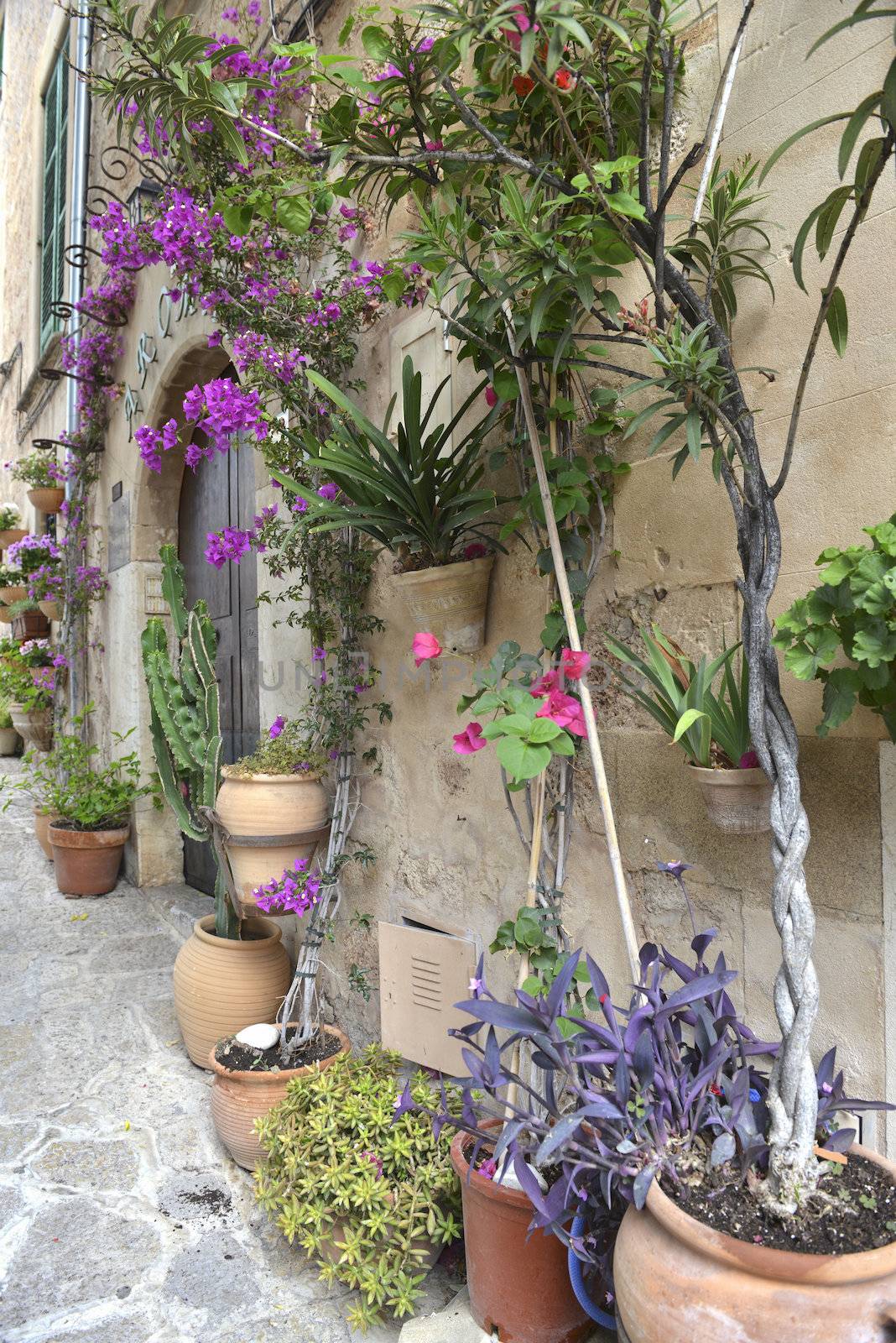 Typical Mediterranean Village with Flower Pots in Facades in Valldemossa, Mallorca, Spain ( Balearic Islands )