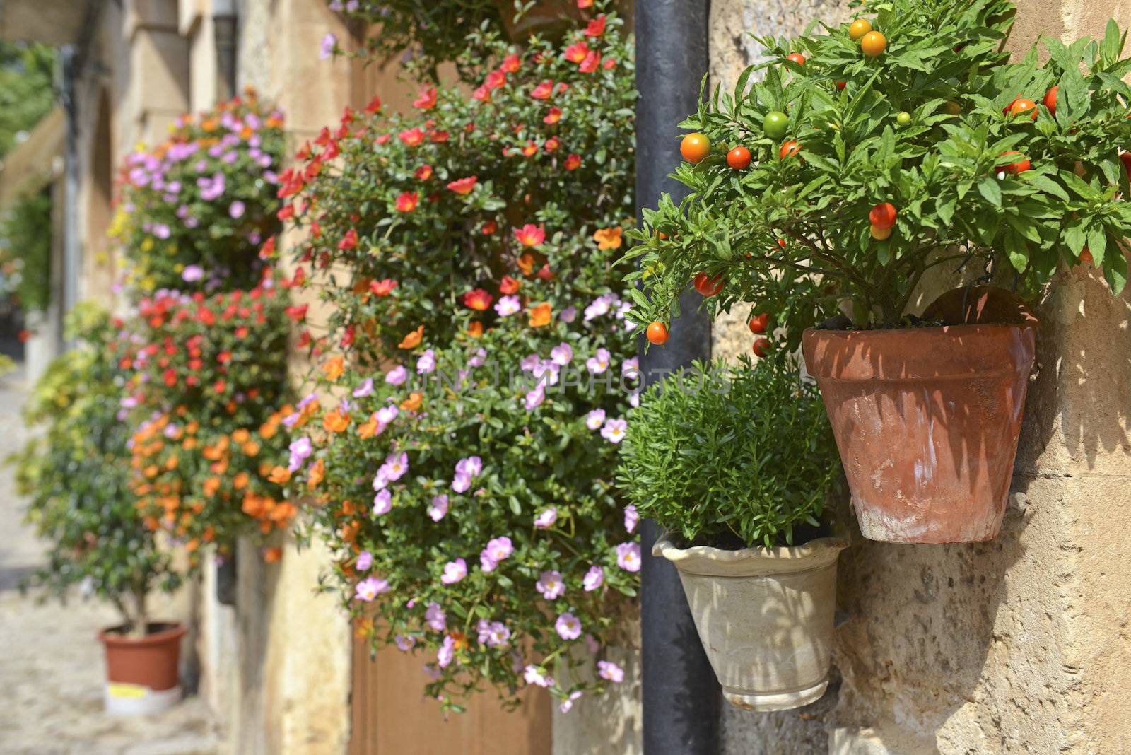 Typical Mediterranean Village with Flower Pots in Facades in Val by Rainman