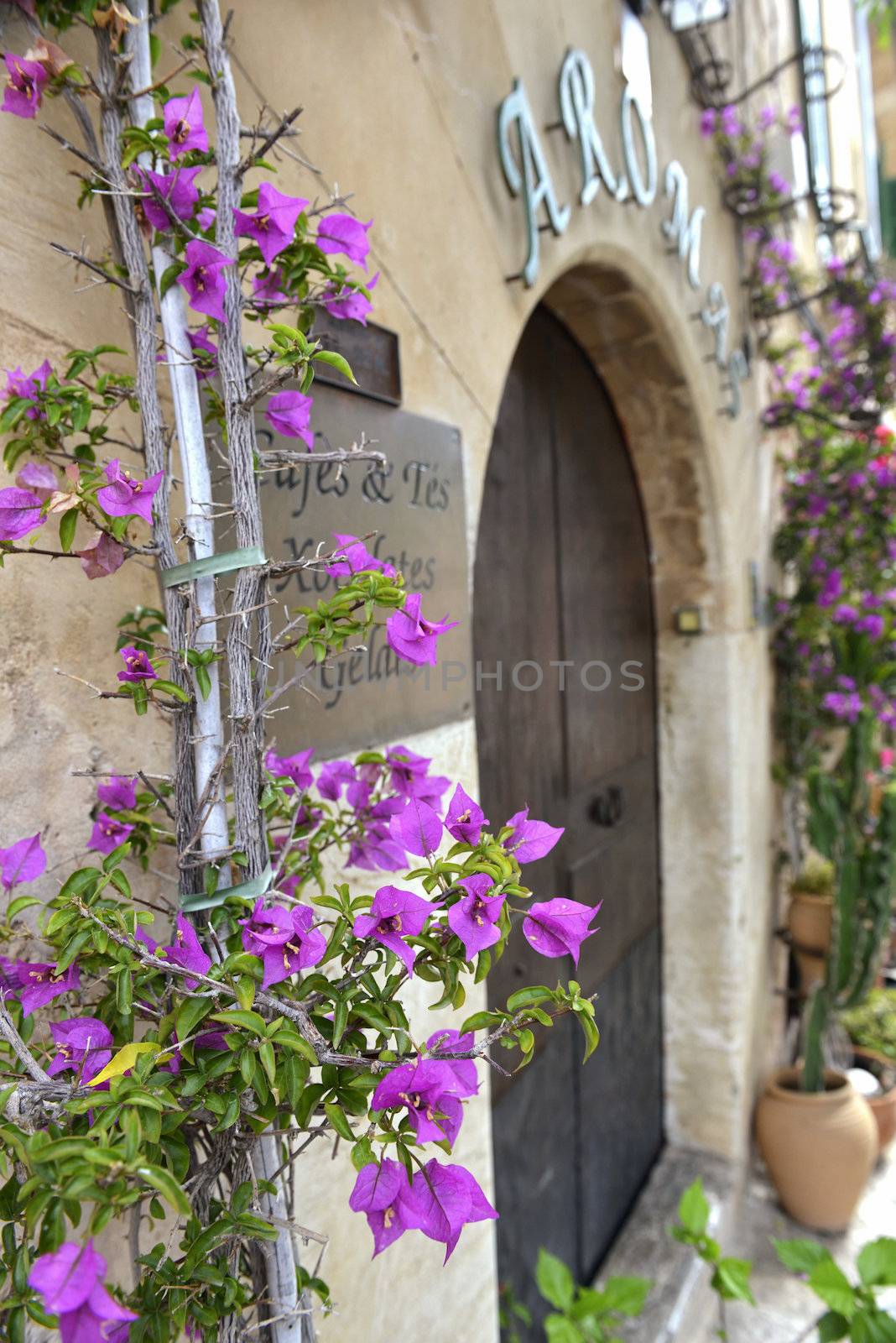 Typical Mediterranean Village with Flower Pots in Facades in Valldemossa, Mallorca, Spain ( Balearic Islands )