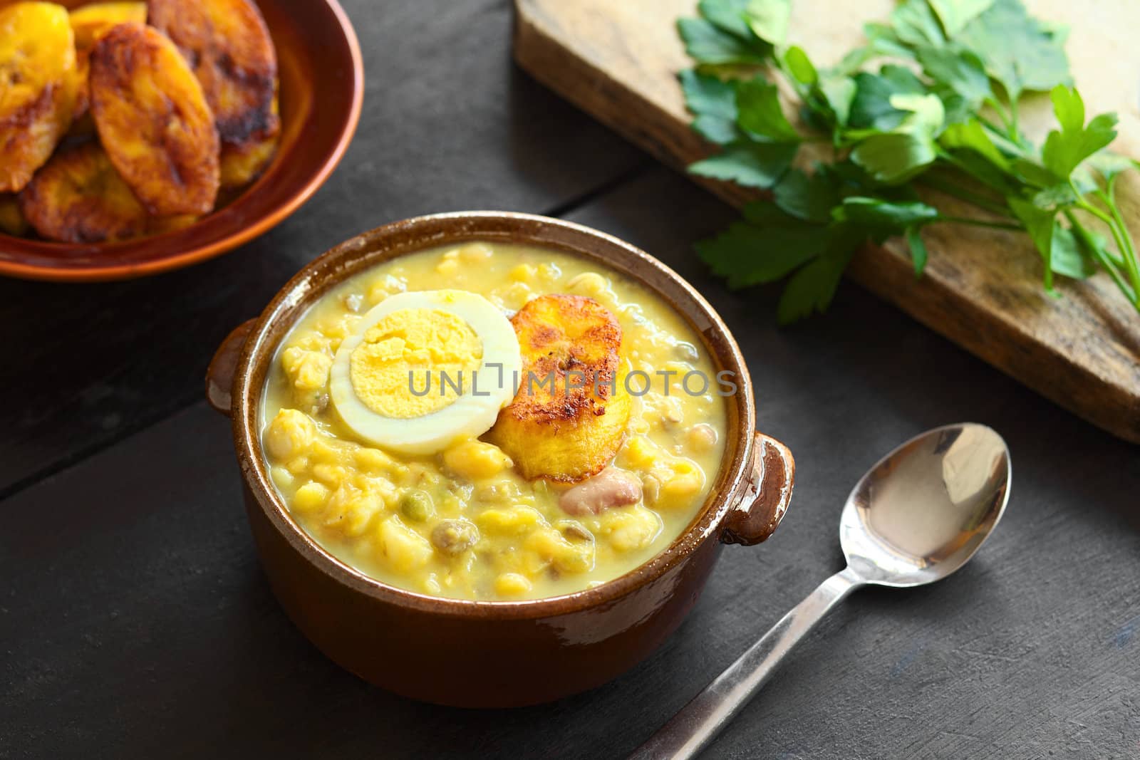 Ecuadorian Fanesca Soup by ildi