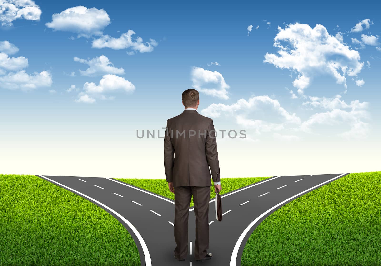 Businessman with briefcase on a road fork by cherezoff