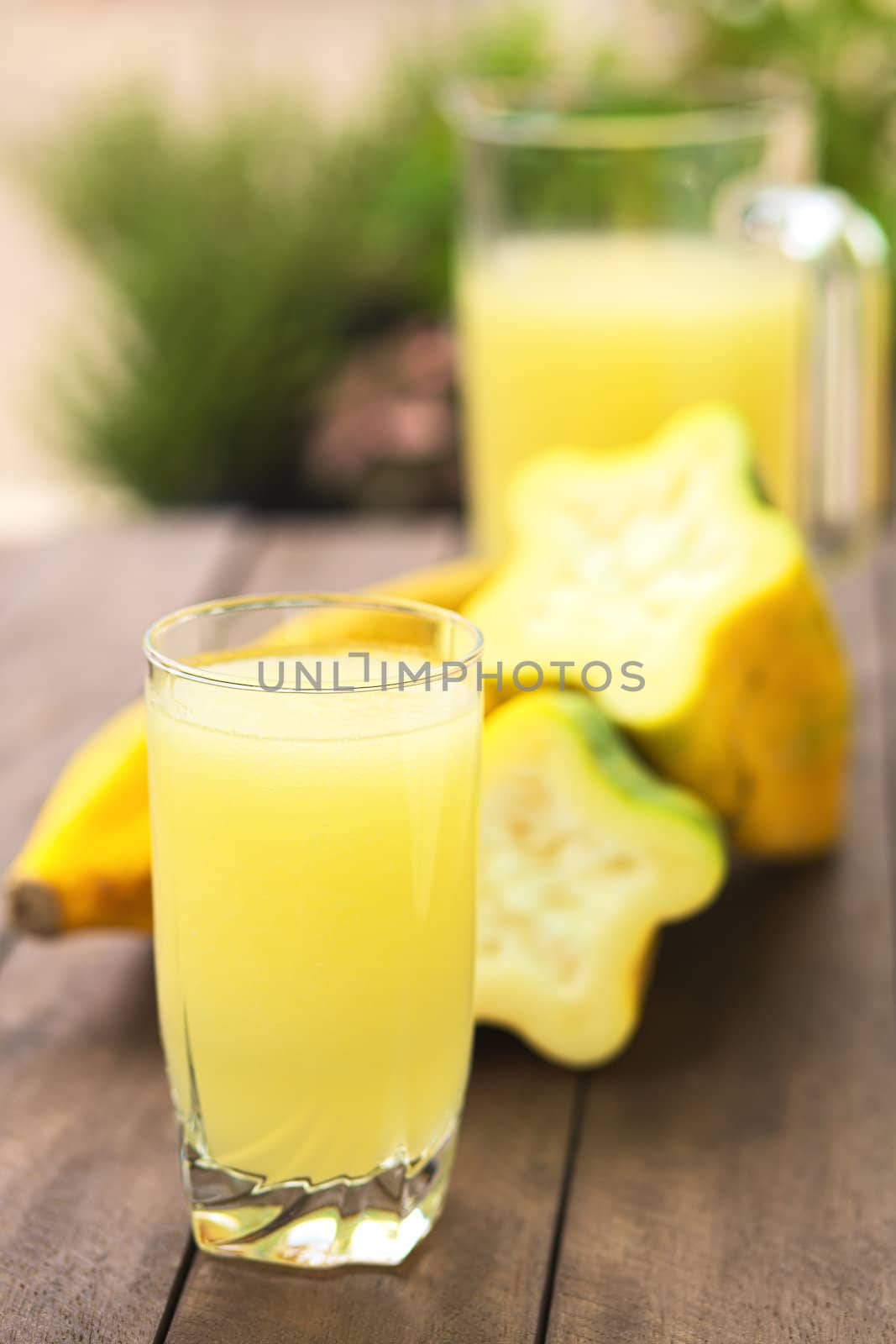 Freshly prepared juice out of the Ecuadorian Babaco fruit (lat. Vasconcellea x heilbornii; syn. Carica pentagona) (Selective Focus, Focus on the front rim of the glass)
