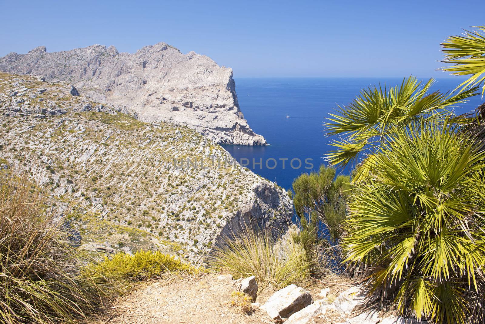 Cape Formentor in the Coast of North Mallorca, Spain ( Balearic Islands )