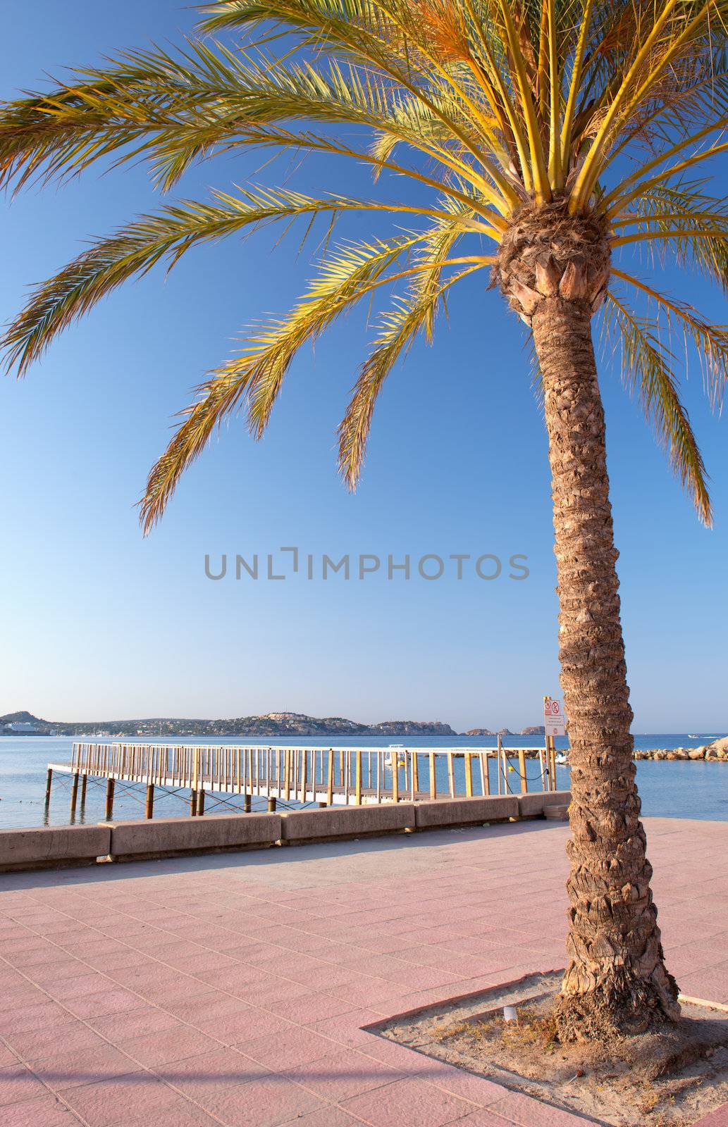 Sunrise on the Beach in Paguera, Majorca (Balearic Islands - Spain)