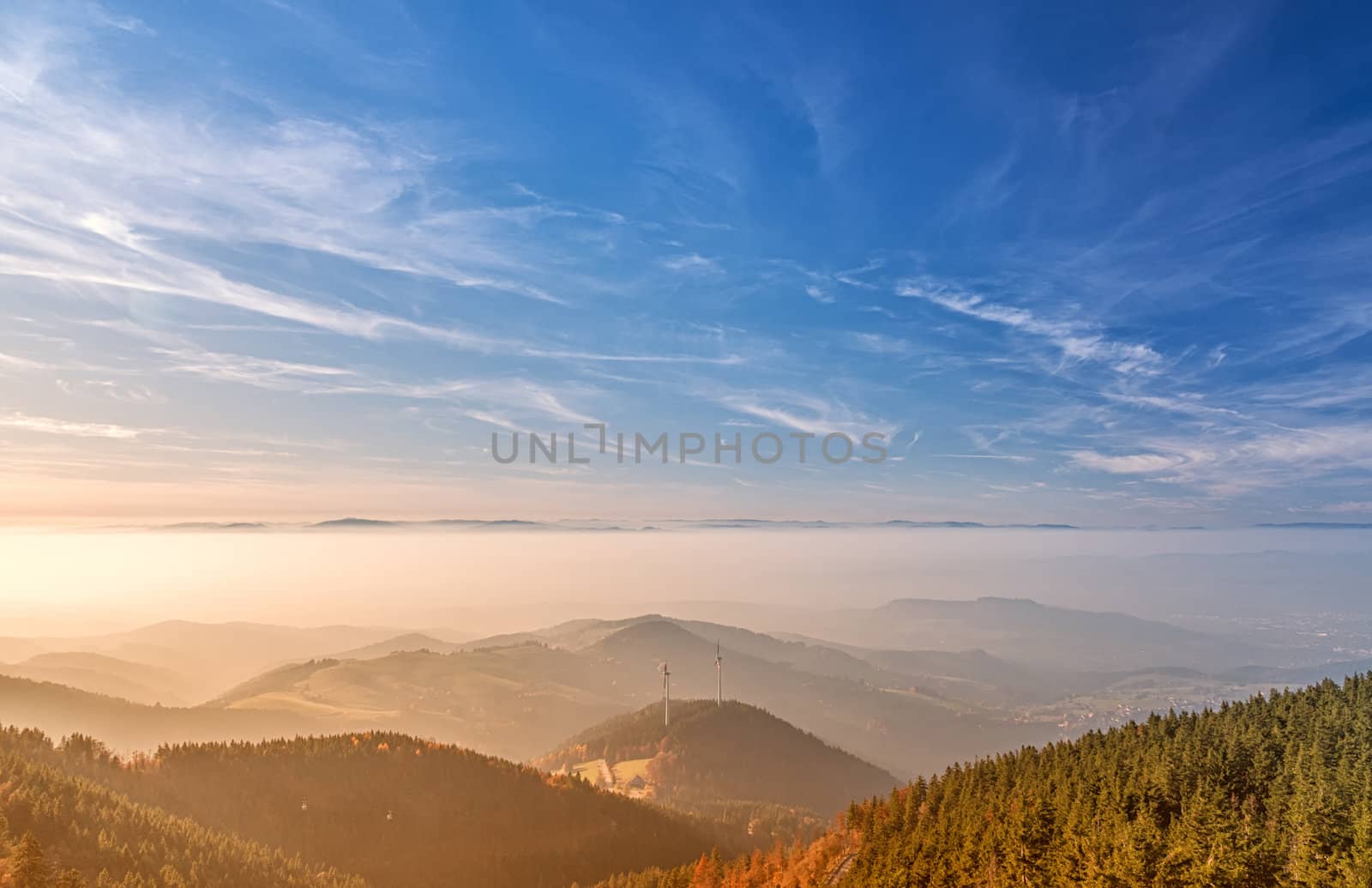 The Black-forest from a look-out tower