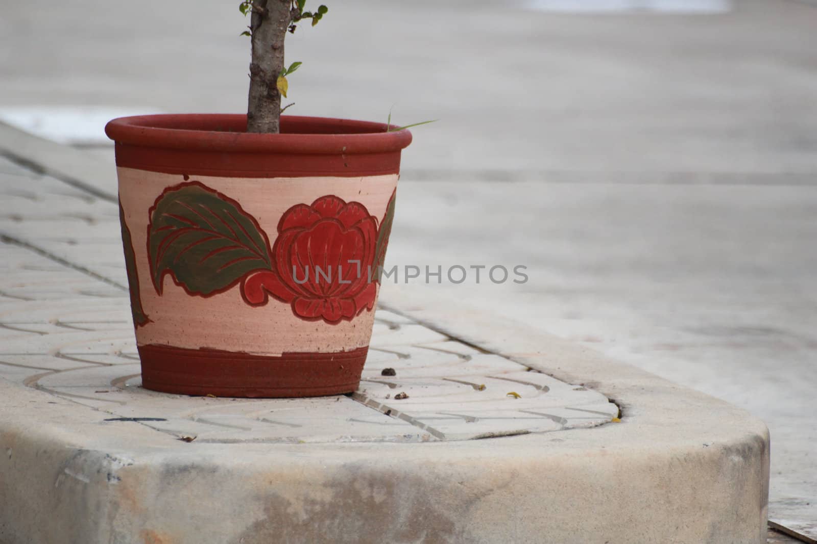 There's a pottery on the footpath.It may jumblingly but so cute.