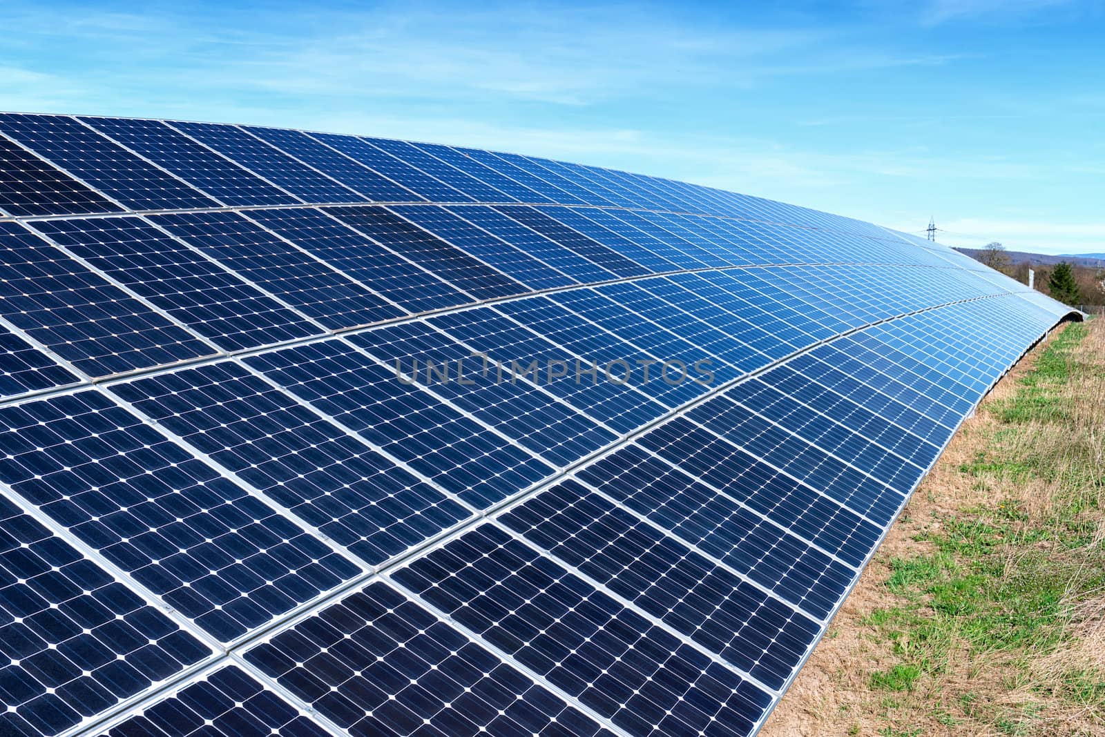 Field with many solar cells in front of a blue sky