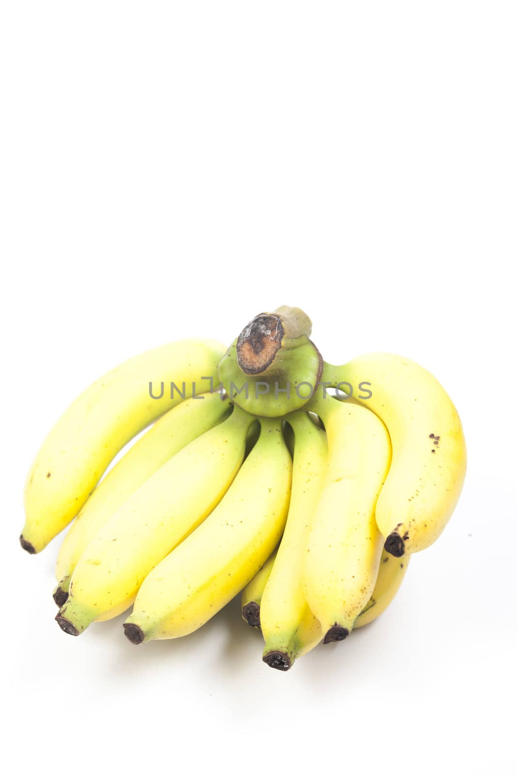 bananas on white isolated background.bananas fruit on white isolated background.