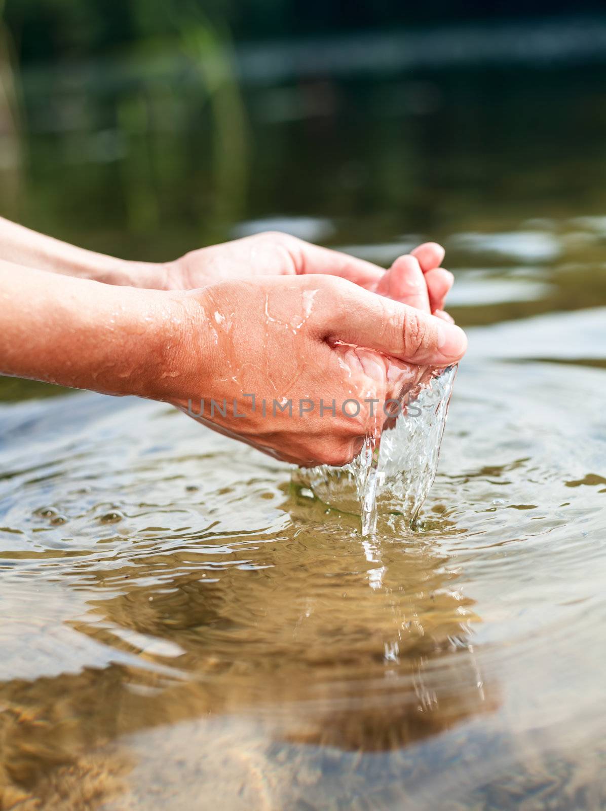 Holding water in cupped hands by naumoid