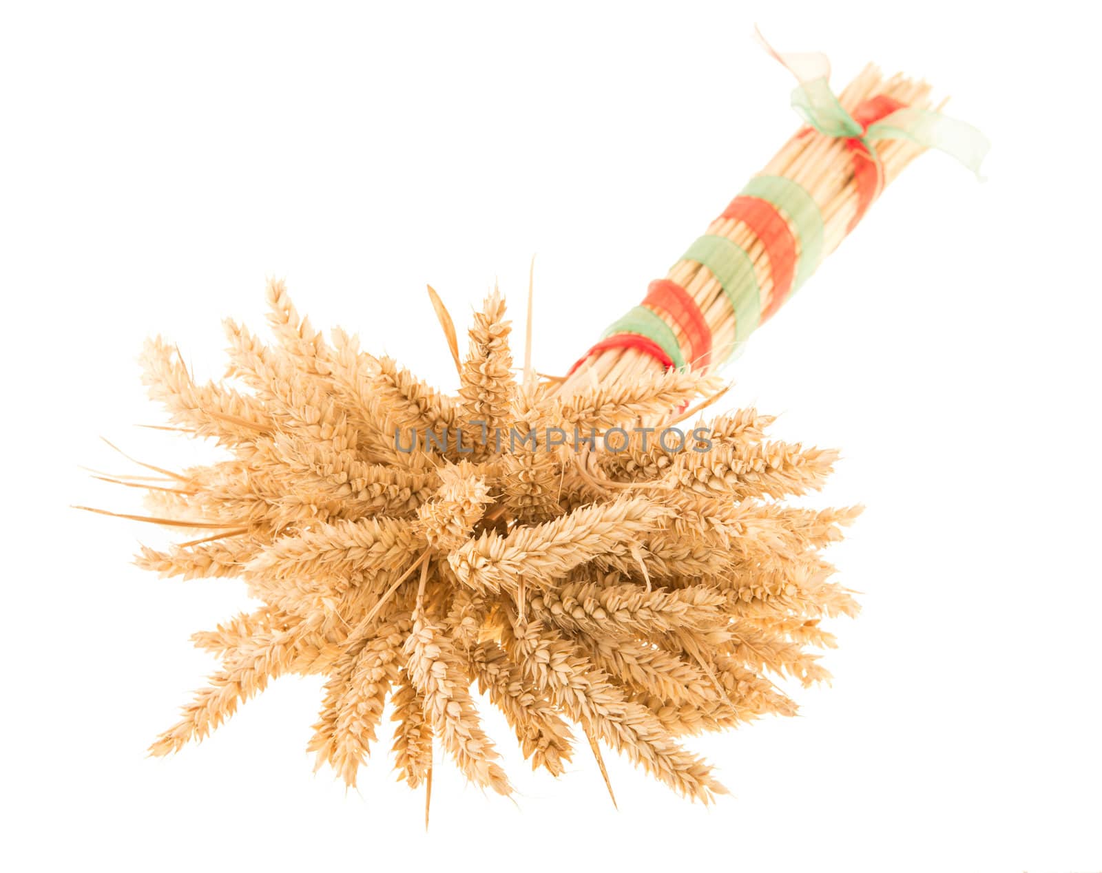 Wheat bundle tied with ribbon isolated over white background