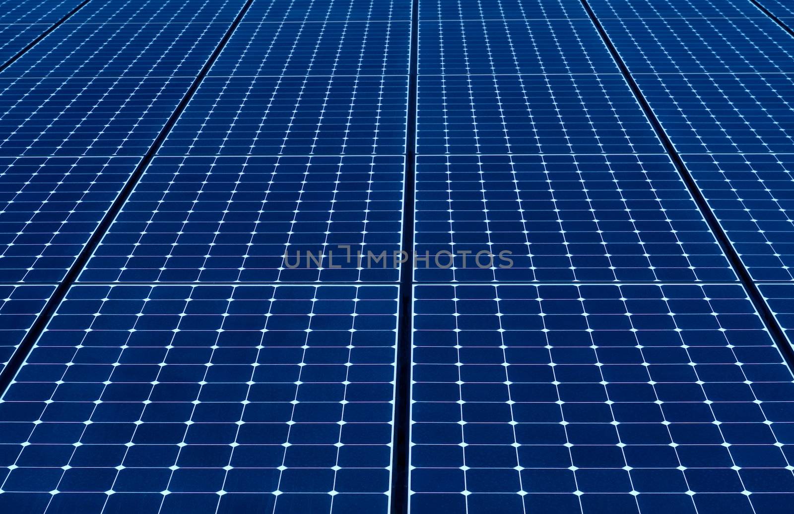 long endless row of blue solar panels to produce electricity