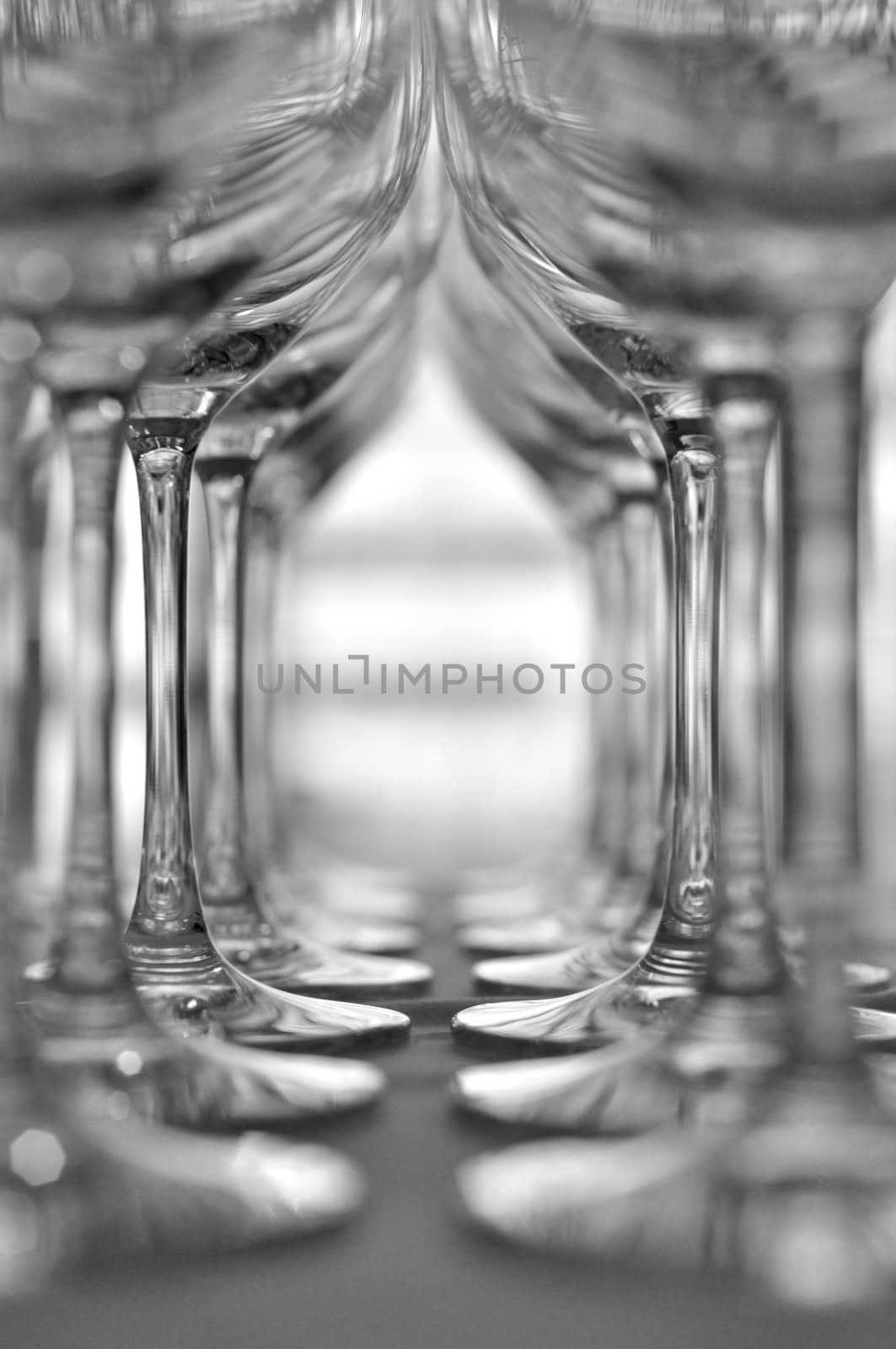 Rows of Empty Wine Glasses on the table