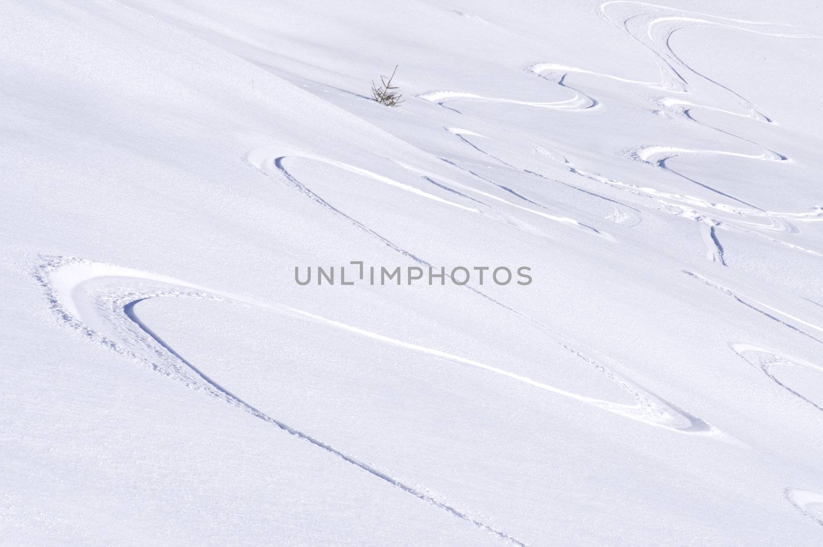 freeride tracks on powder snow in the mountains