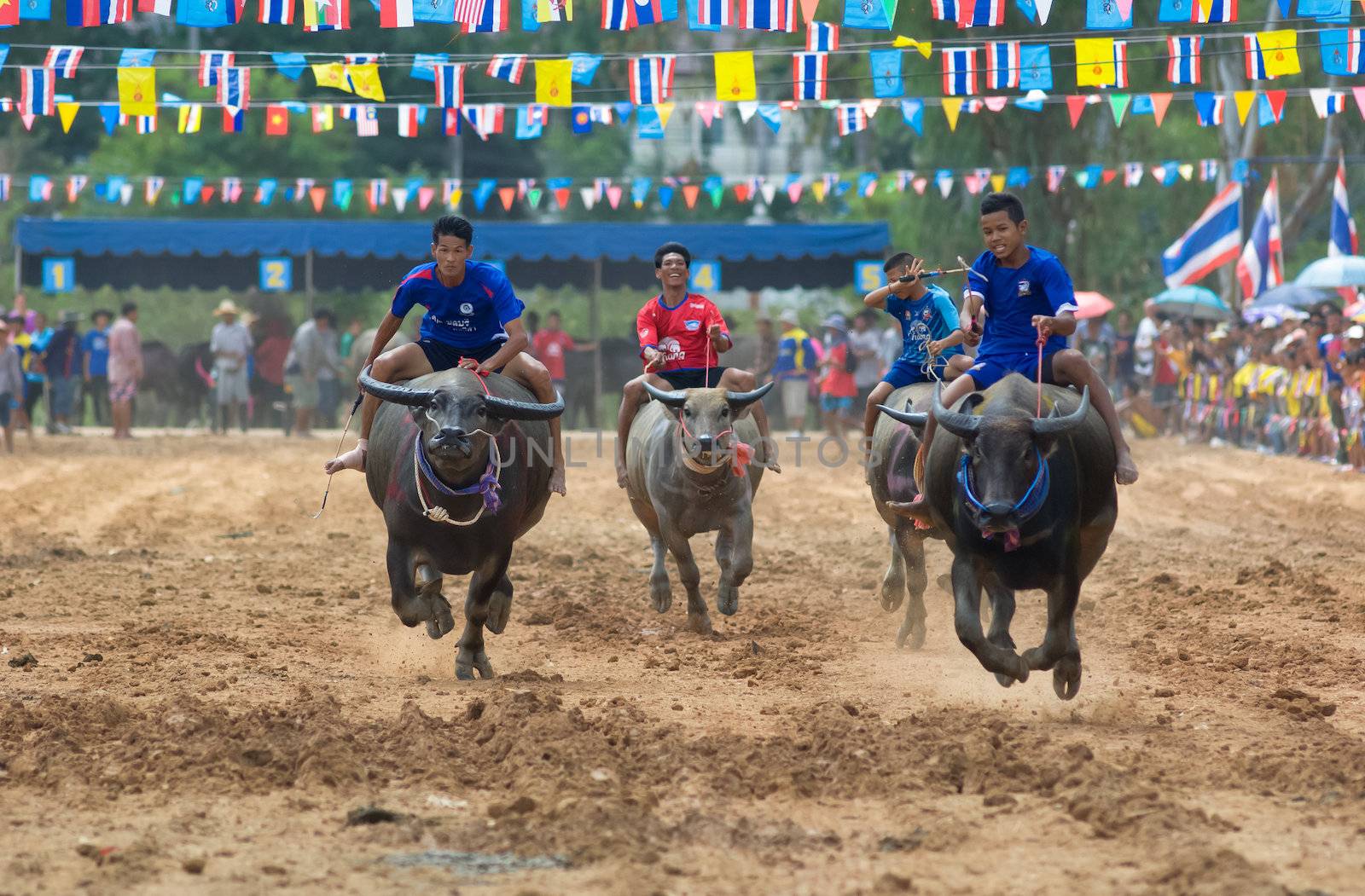 PATTAYA - AUGUST 17: Participant at the Buffalo Racing Festival of Nong Prue City at Mab Prachan Reservoir in Pattaya, Thailand on August 17, 2014.