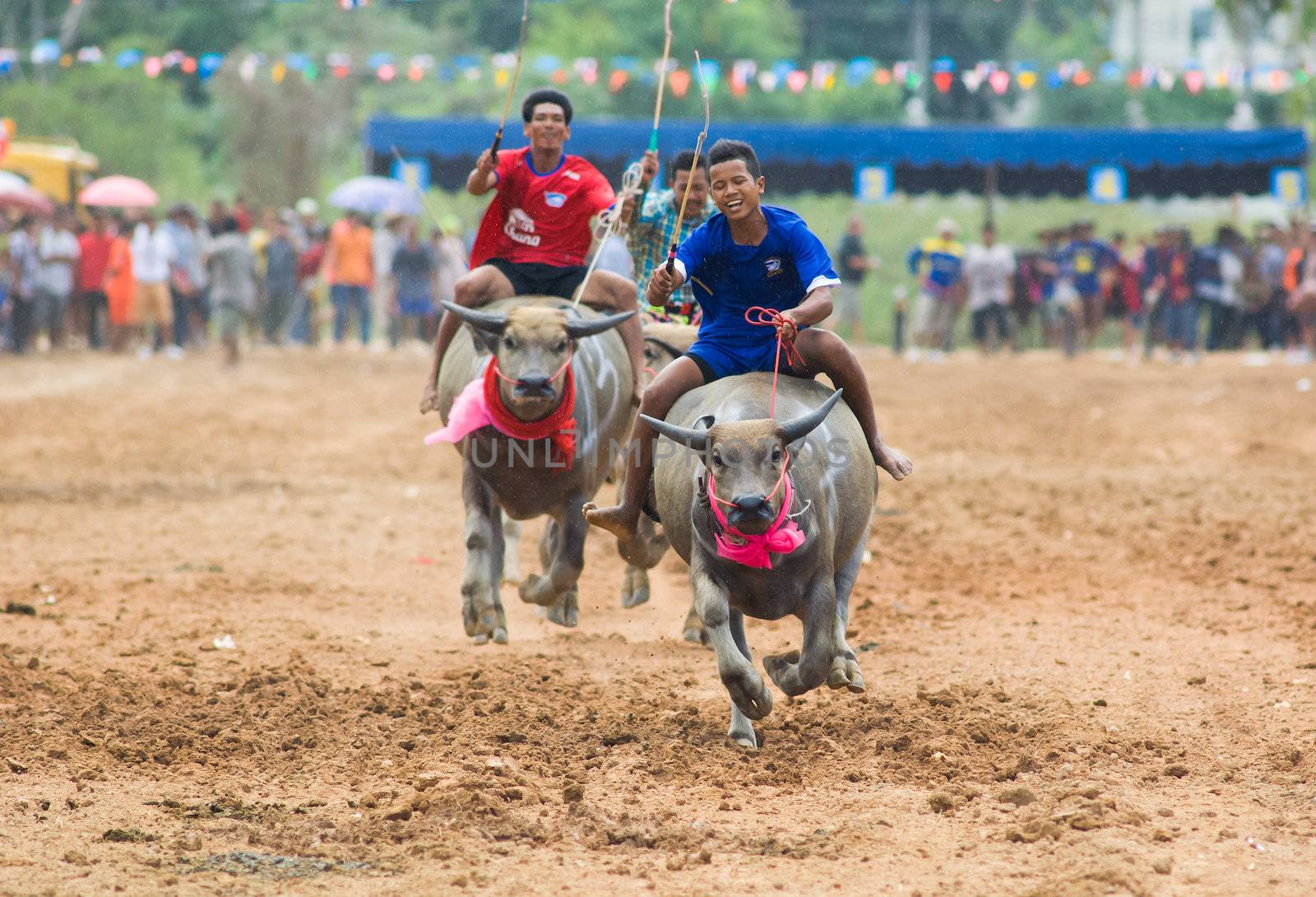 PATTAYA - AUGUST 17: Participants at the Buffalo Racing Festival of Nong Prue City at Mab Prachan Reservoir in Pattaya, Thailand on August 17, 2014.