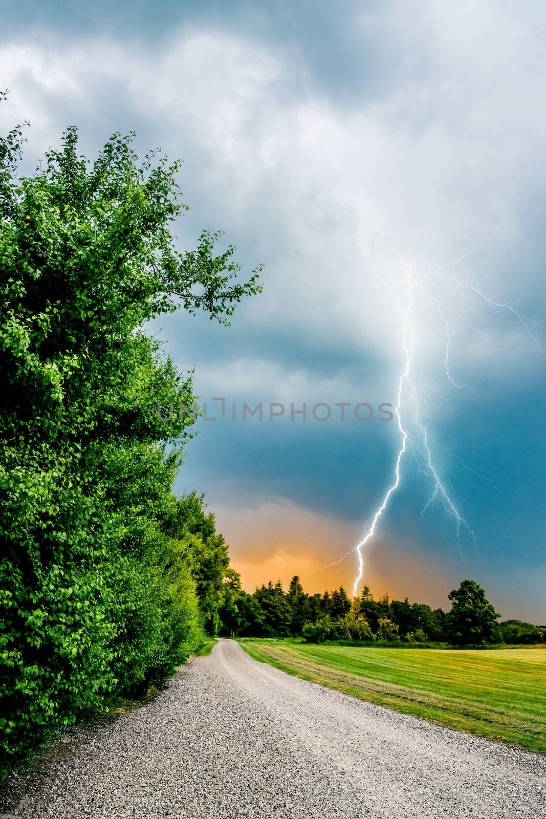 thunder and lightning hits trees by Sportactive