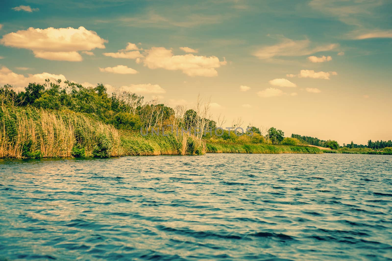 Green riverside with blue water and sky