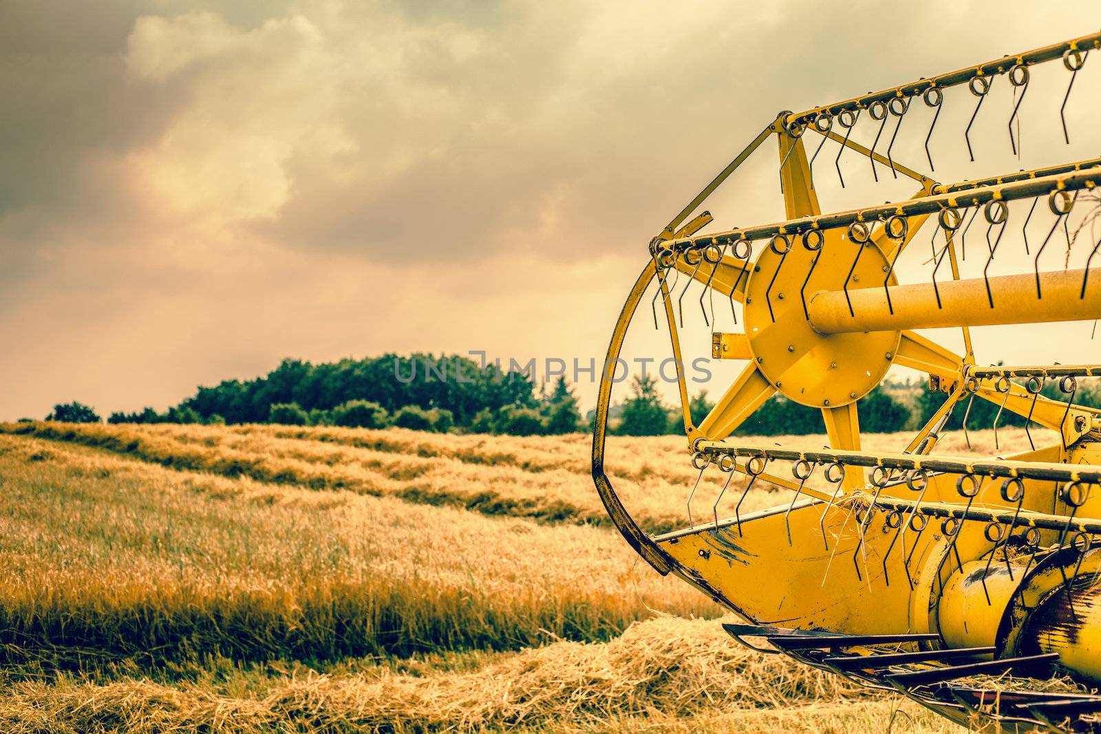Harvester rear turning the hay