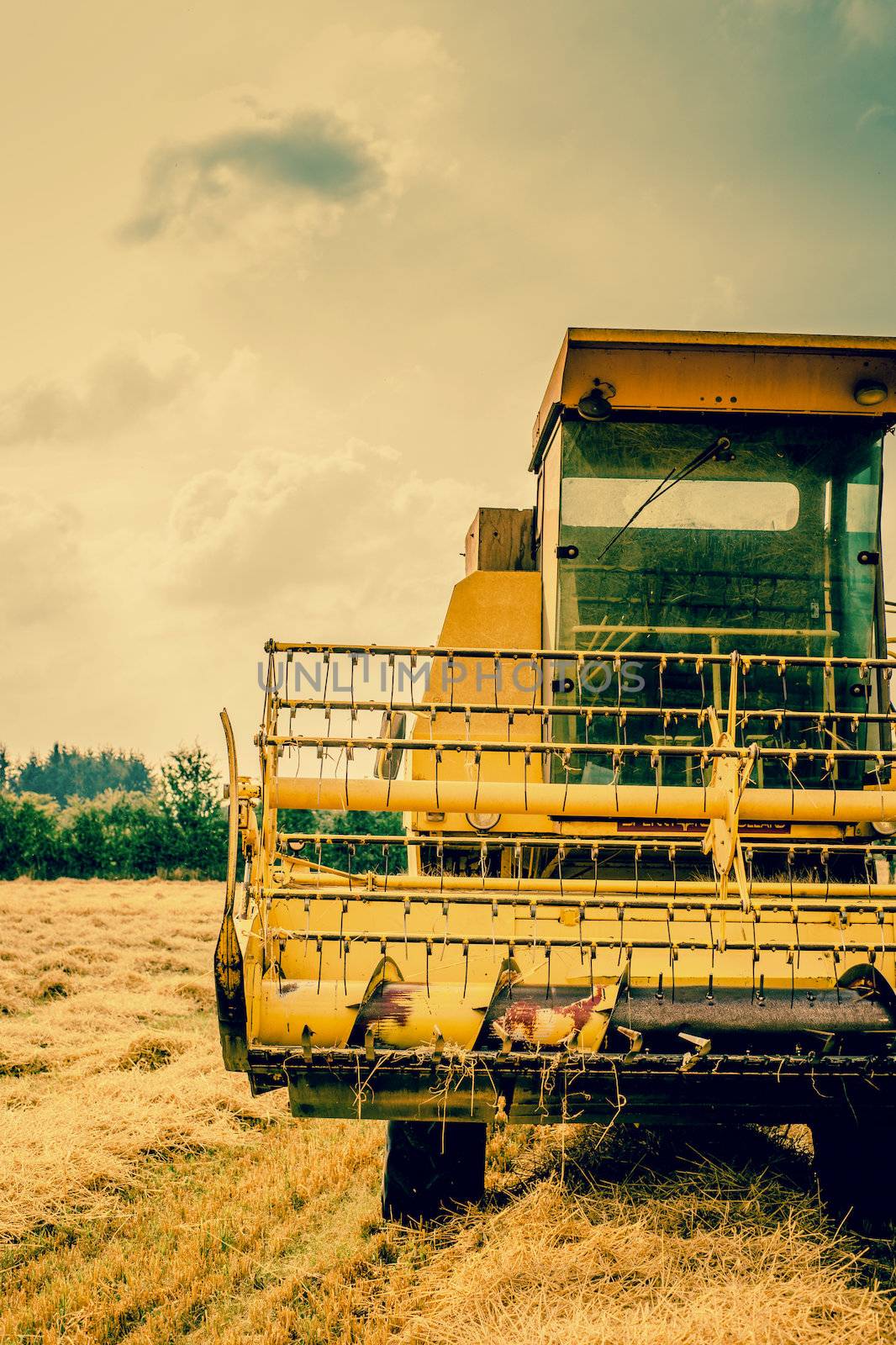 Close-up photo of a yellow harvester machine