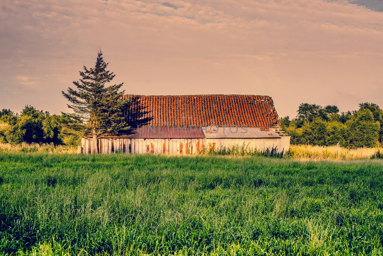 Countryside scenery with an old and weathered barn