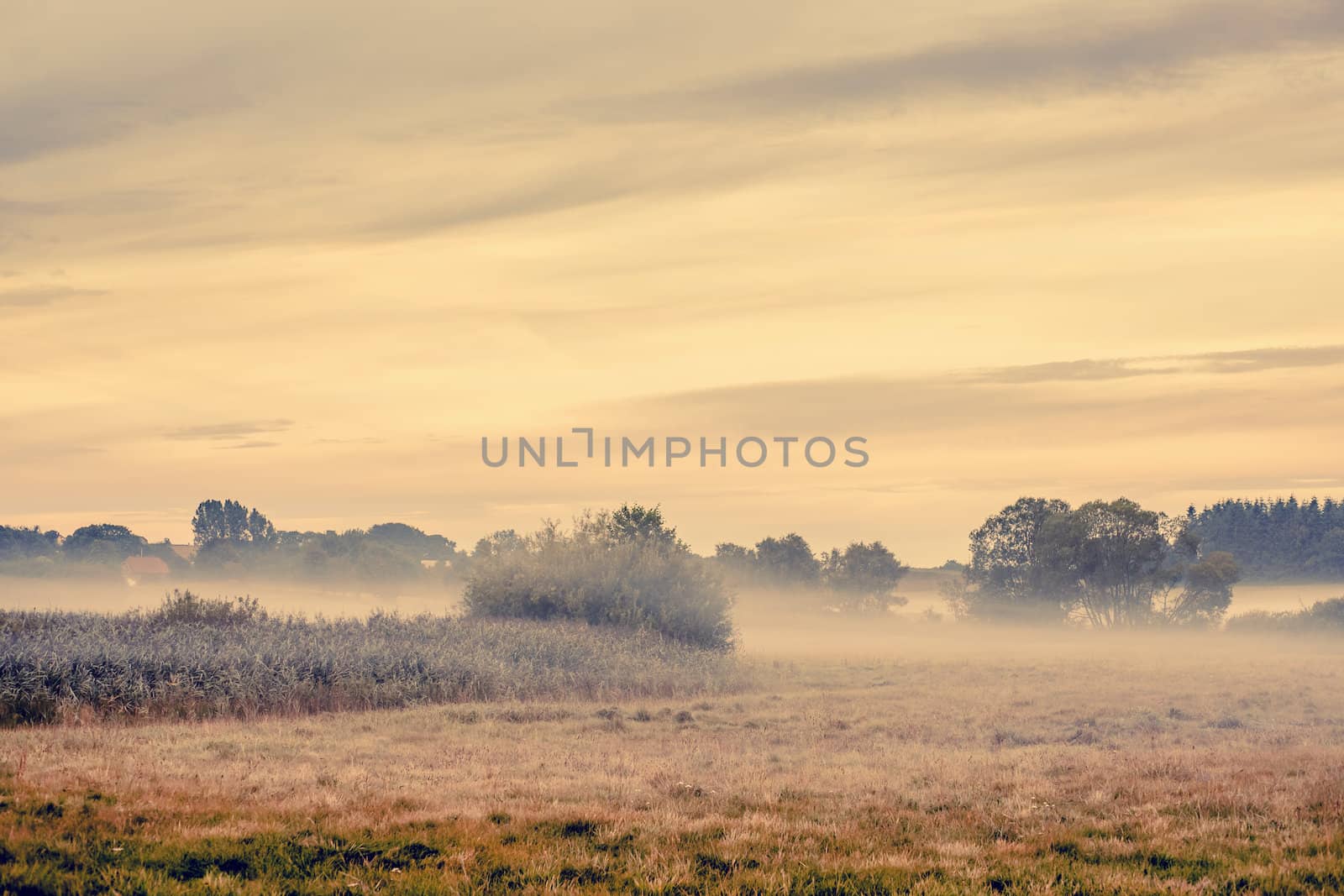 Fog over a countryside landscape with fields and trees