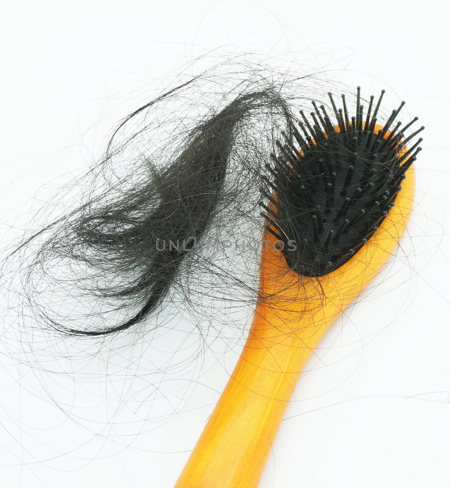 Hair brush with lost hair by ninun