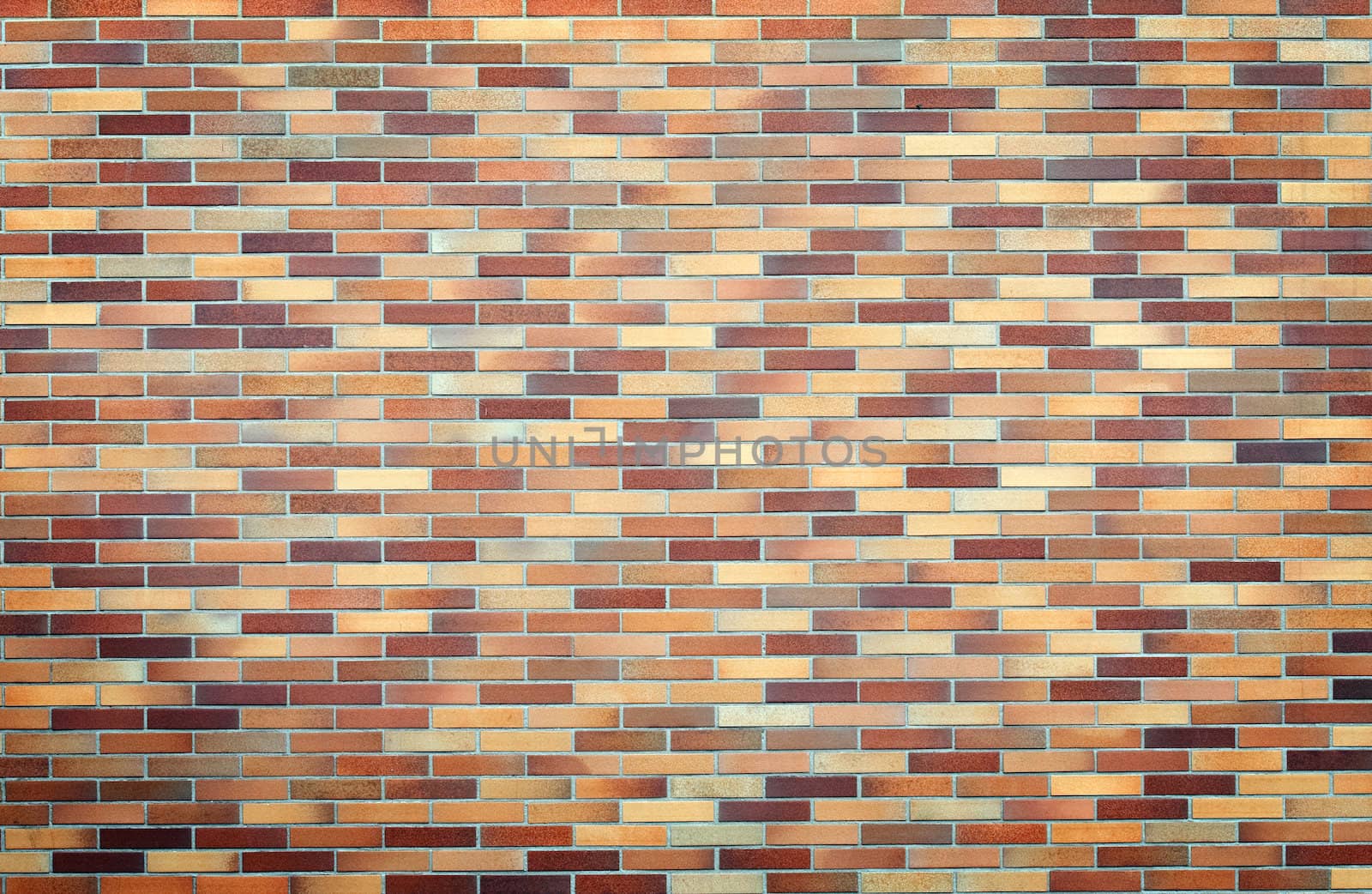 Brick Wall Background
