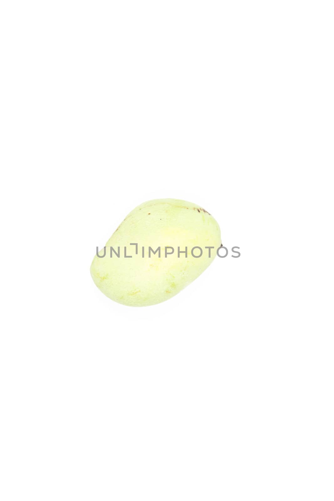 mango on white isolated background.mango is fruit packshot in white isolated.