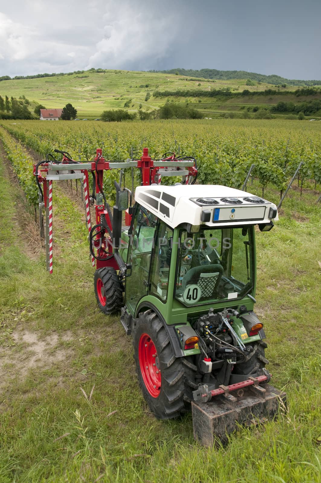 Tractor in the Vineyard by Rainman