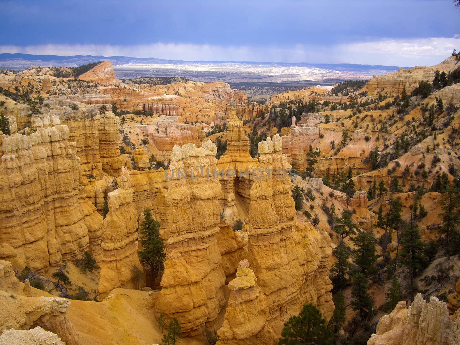 Bryce Canyon in a Summer storm by emattil