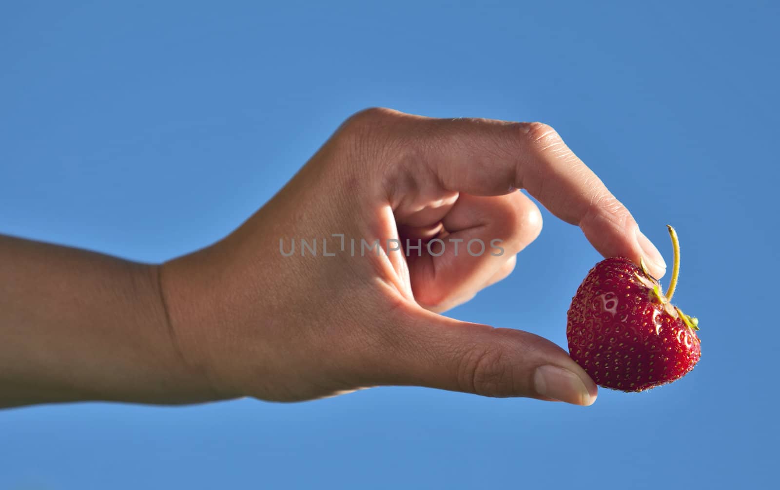 Hand holding a strawberry with blue sky background