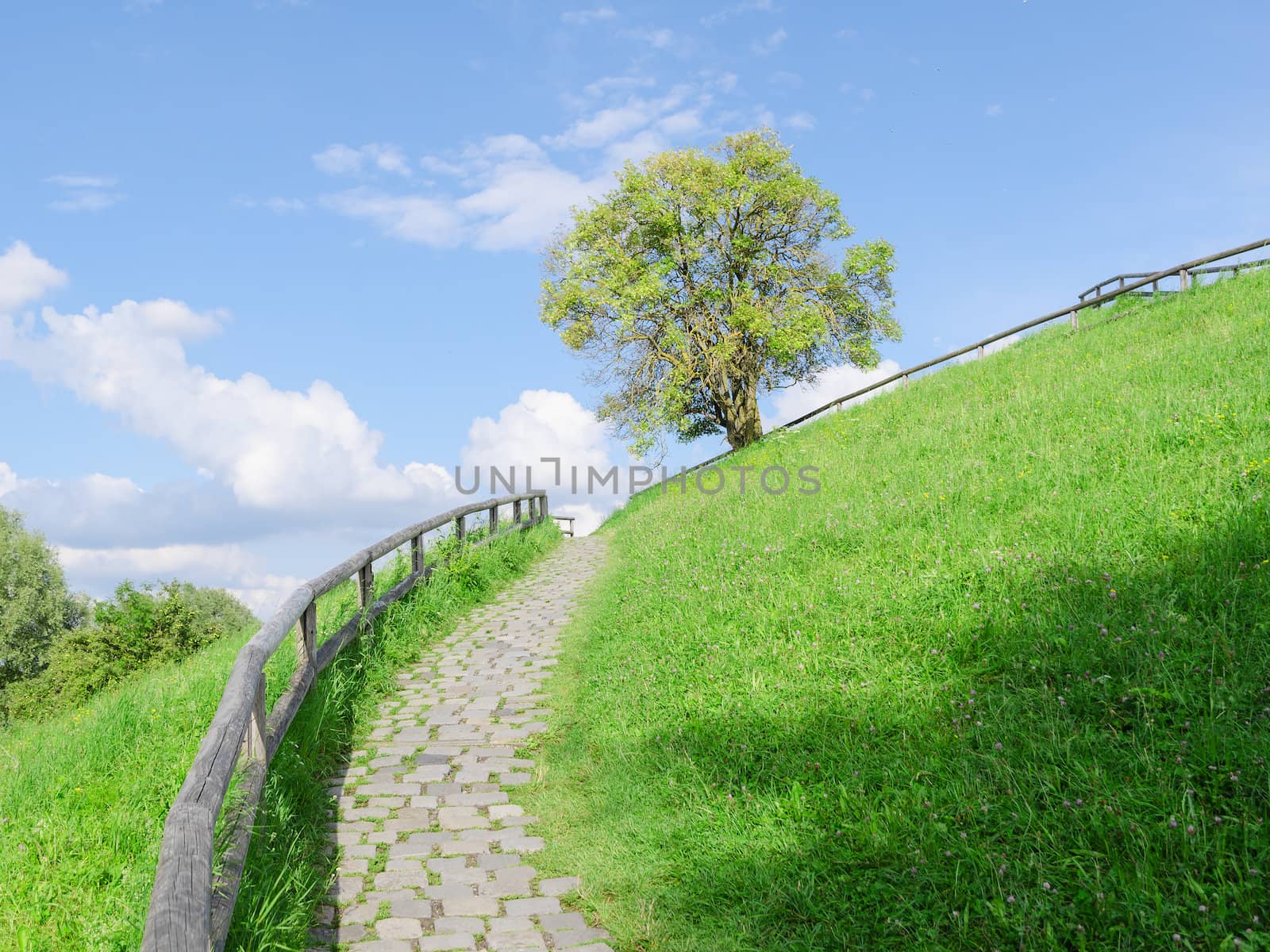 Difficult cobble stones path upward in direction to the top of green hill